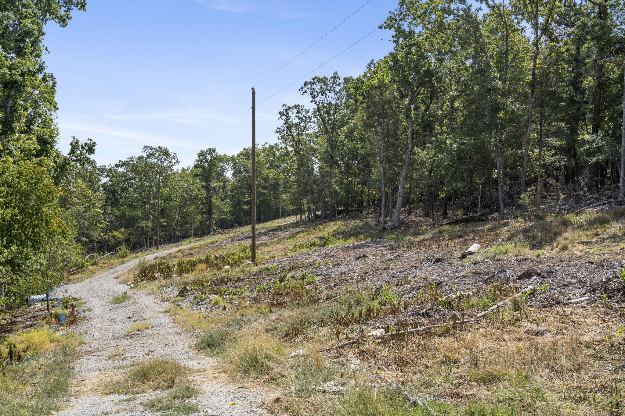 Photo 6 - Land for sale – Lot 4  Cedar Bluff Lane  Shell Knob, MO
