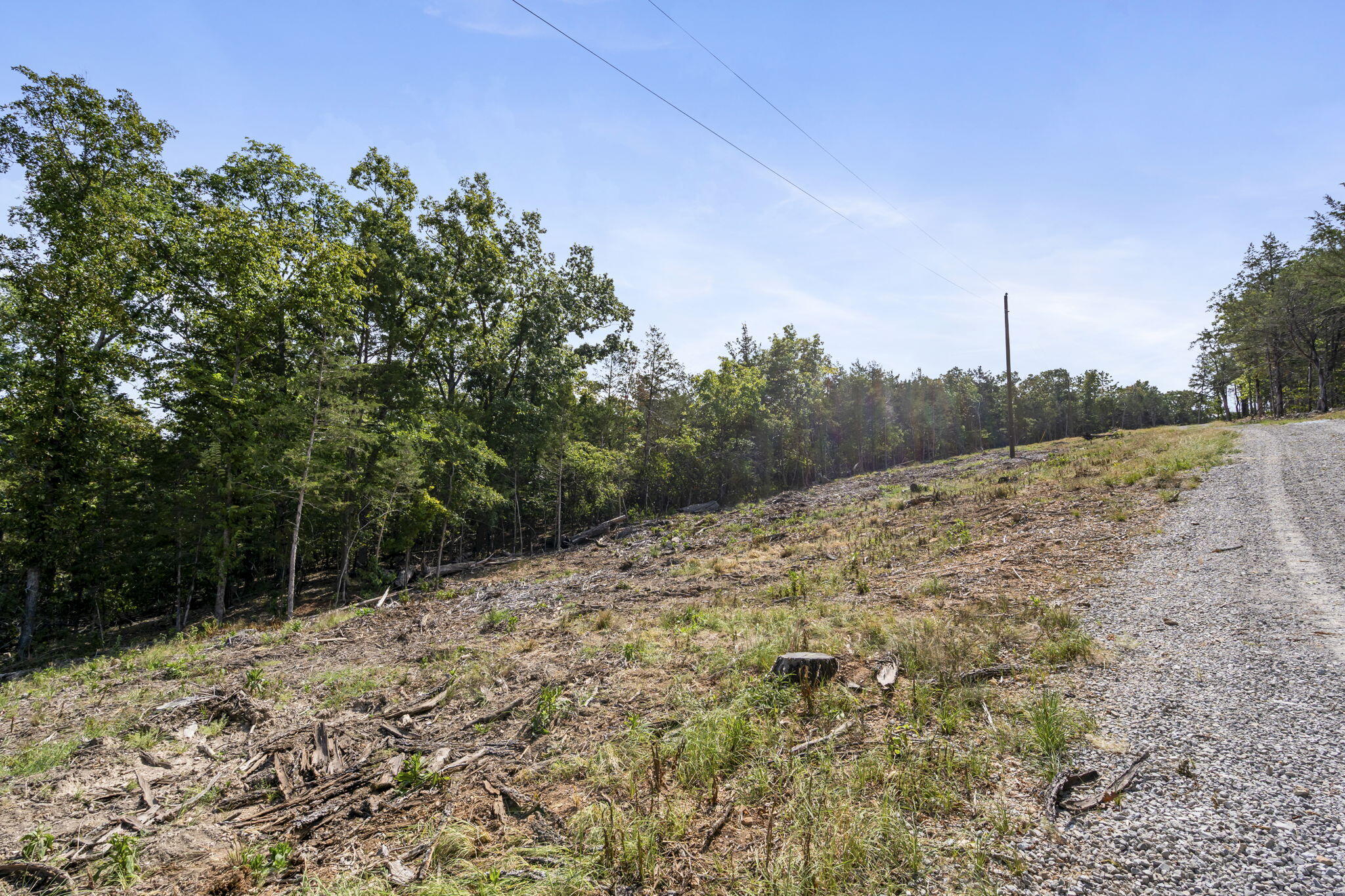 Photo 10 - Land for sale – Lot 5  Cedar Bluff Lane  Shell Knob, MO