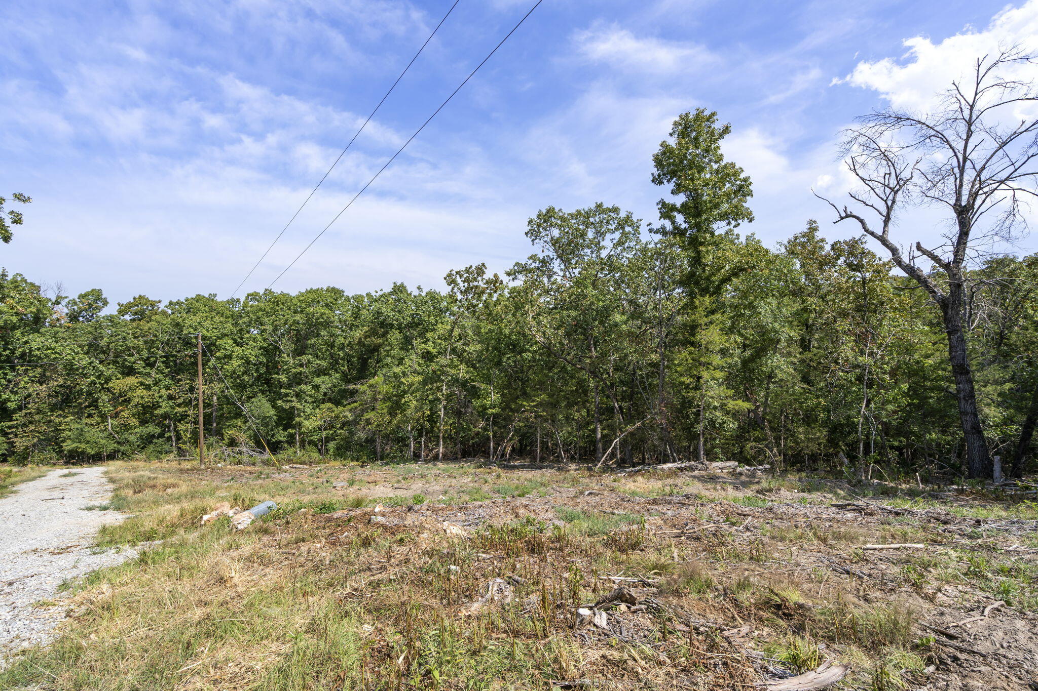 Photo 11 - Land for sale – Lot 5  Cedar Bluff Lane  Shell Knob, MO