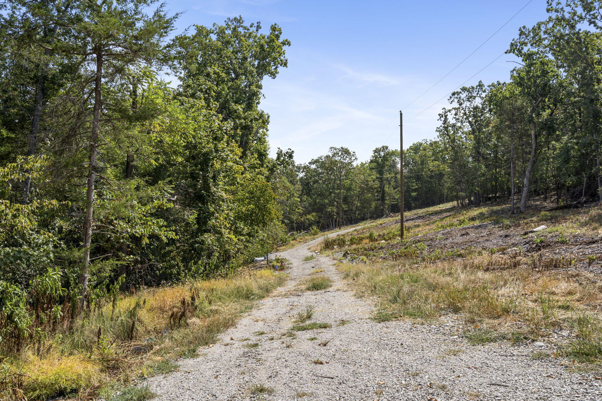 Photo 7 - Land for sale – Lot 5  Cedar Bluff Lane  Shell Knob, MO