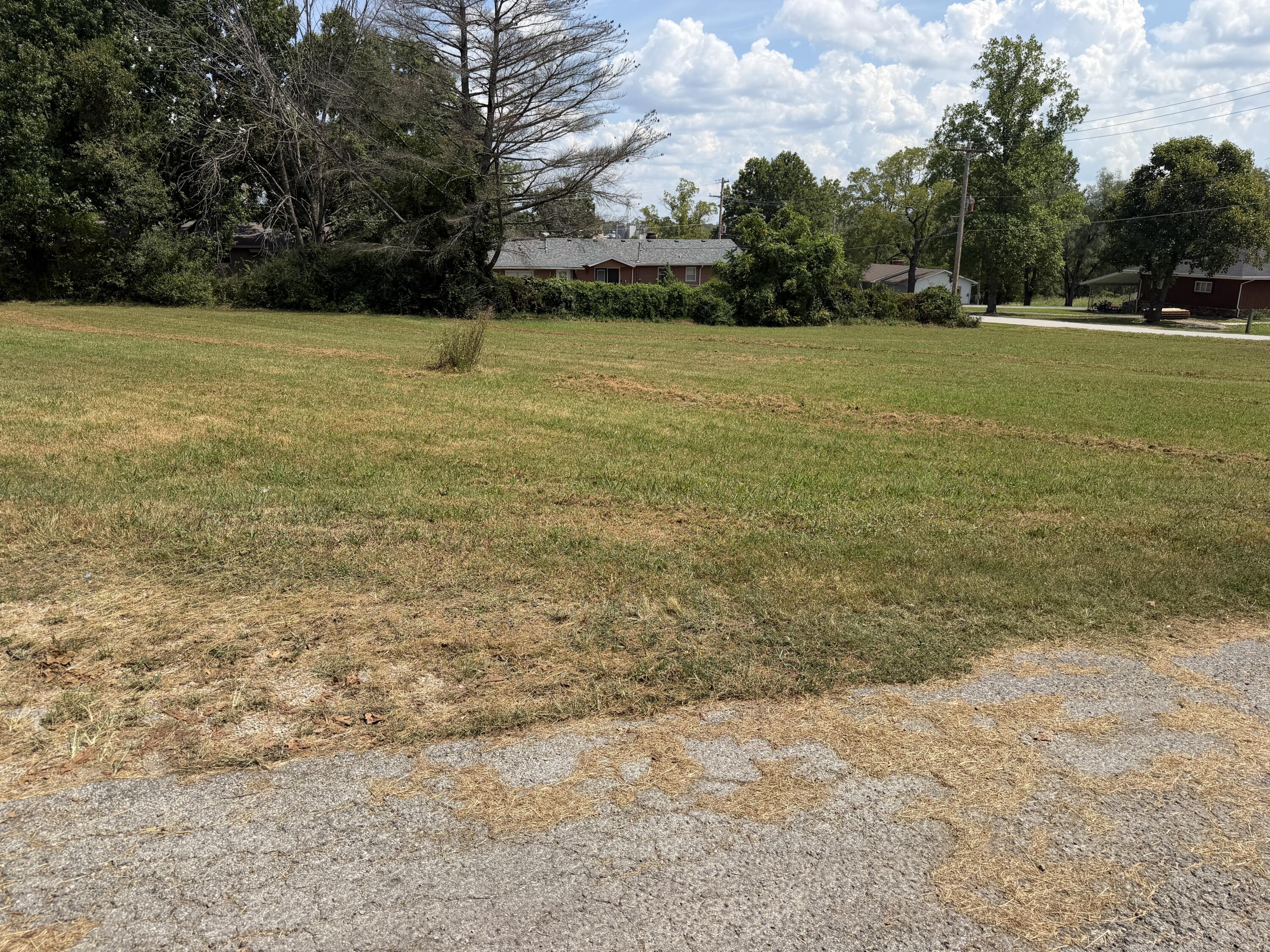 Photo 25 - Commercial Sale for sale – 910  Sallee   Ava, MO