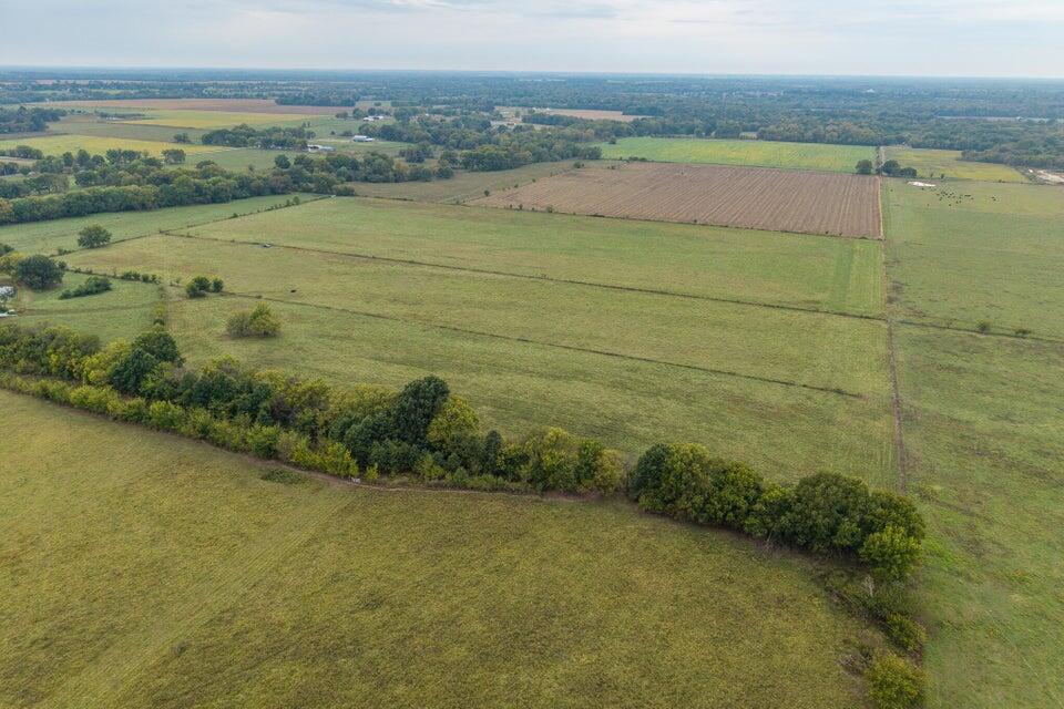 Photo 8 - Land for sale – 016  County Road 270   Carl Junction, MO