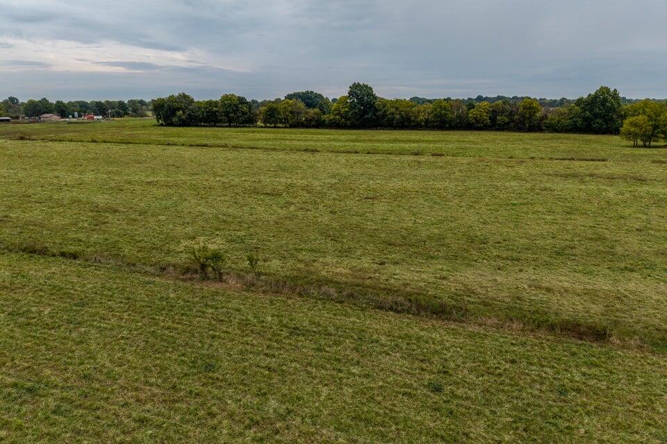 Photo 3 - Land for sale – 016  County Road 270   Carl Junction, MO