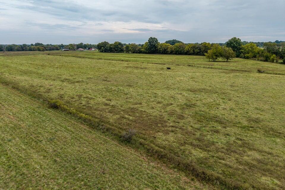 Photo 2 - Land for sale – 016  County Road 270   Carl Junction, MO