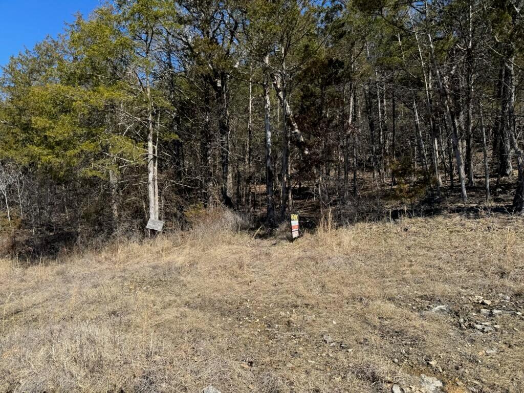 Photo 4 - Land for sale – 56(Lot 56)  Ranch Road   Saddlebrooke, MO
