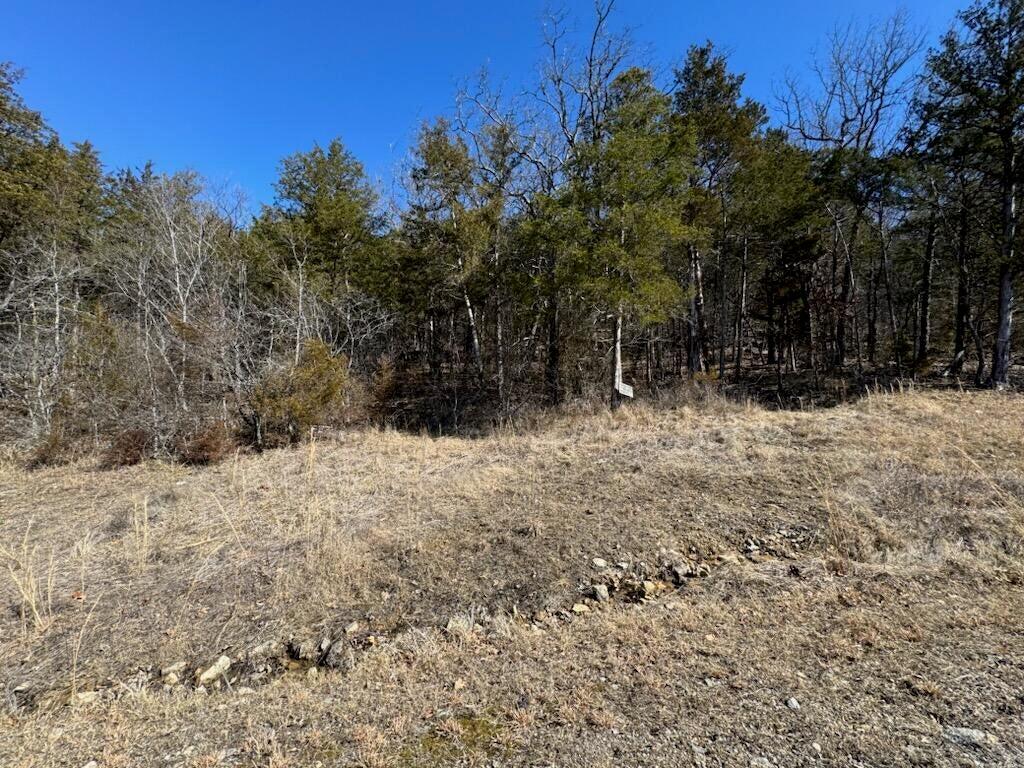 Photo 6 - Land for sale – 56(Lot 56)  Ranch Road   Saddlebrooke, MO