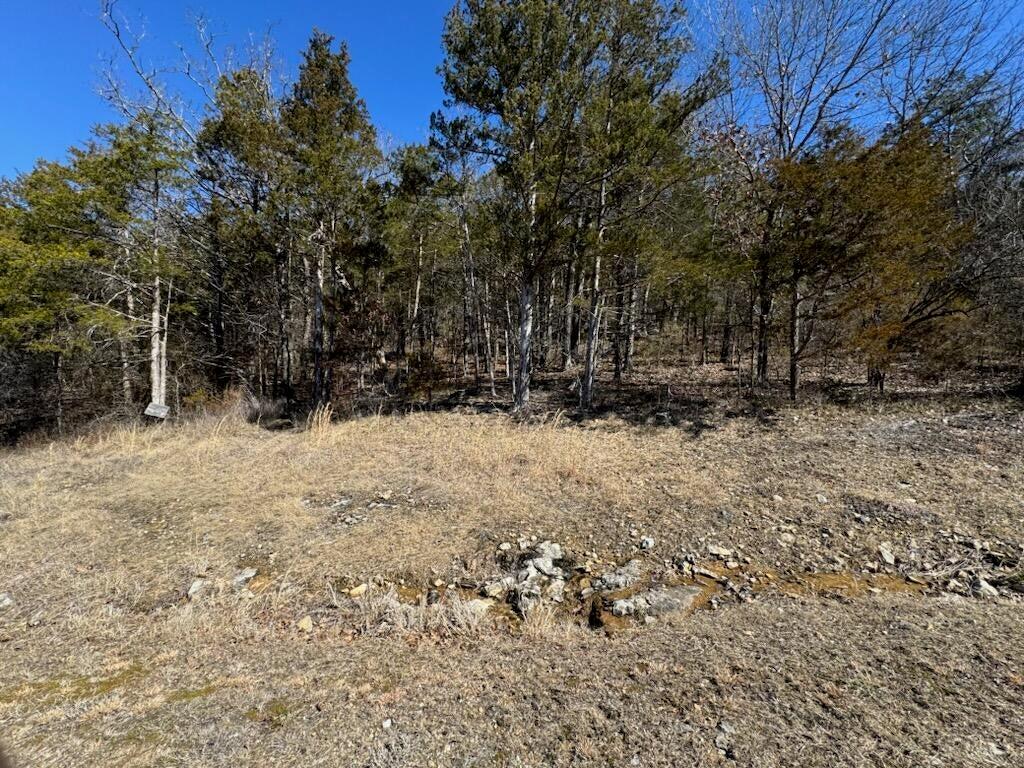 Photo 5 - Land for sale – 56(Lot 56)  Ranch Road   Saddlebrooke, MO