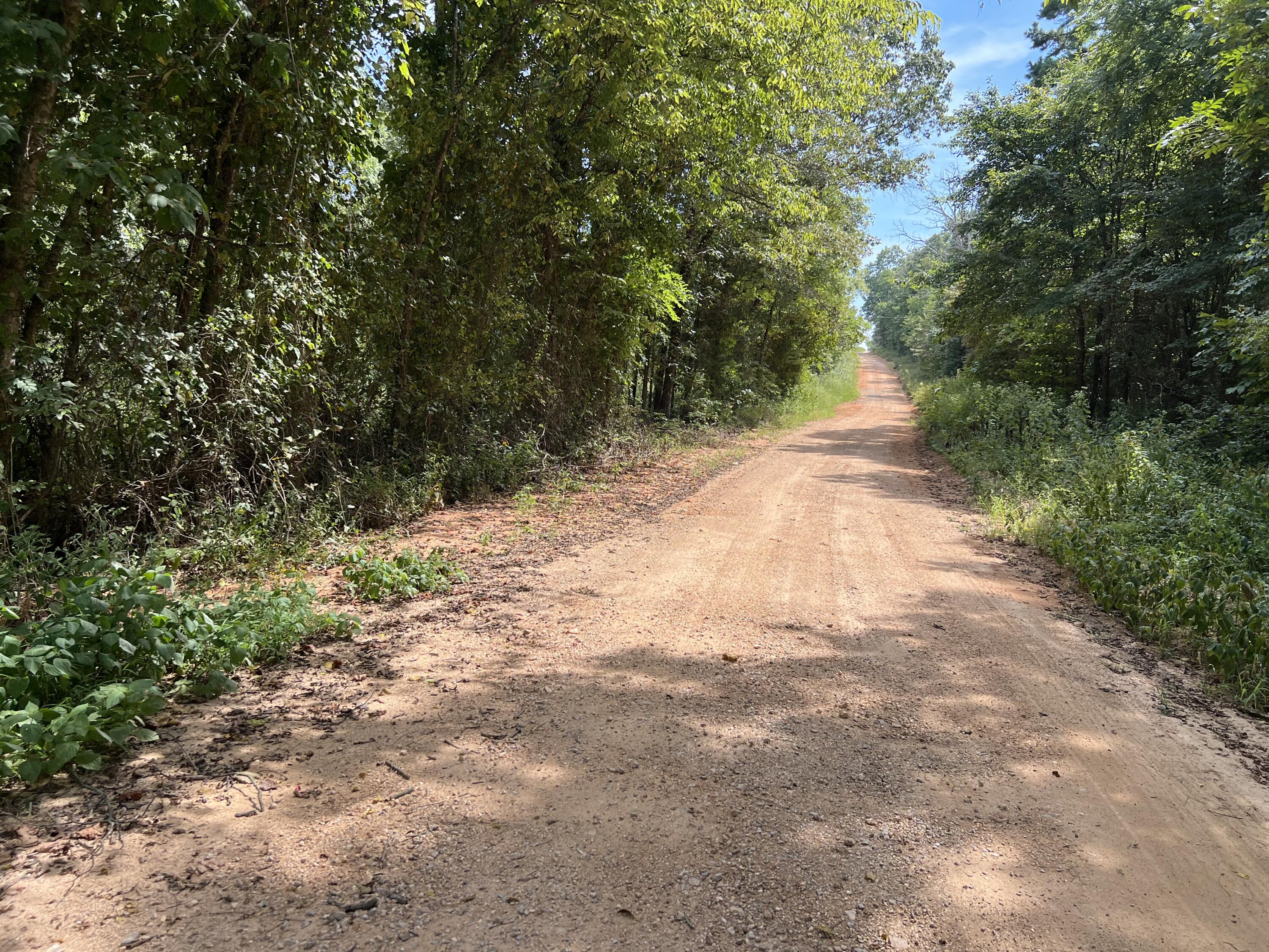 Photo 4 - Land for sale – 000  County Road F-147   Alton, MO