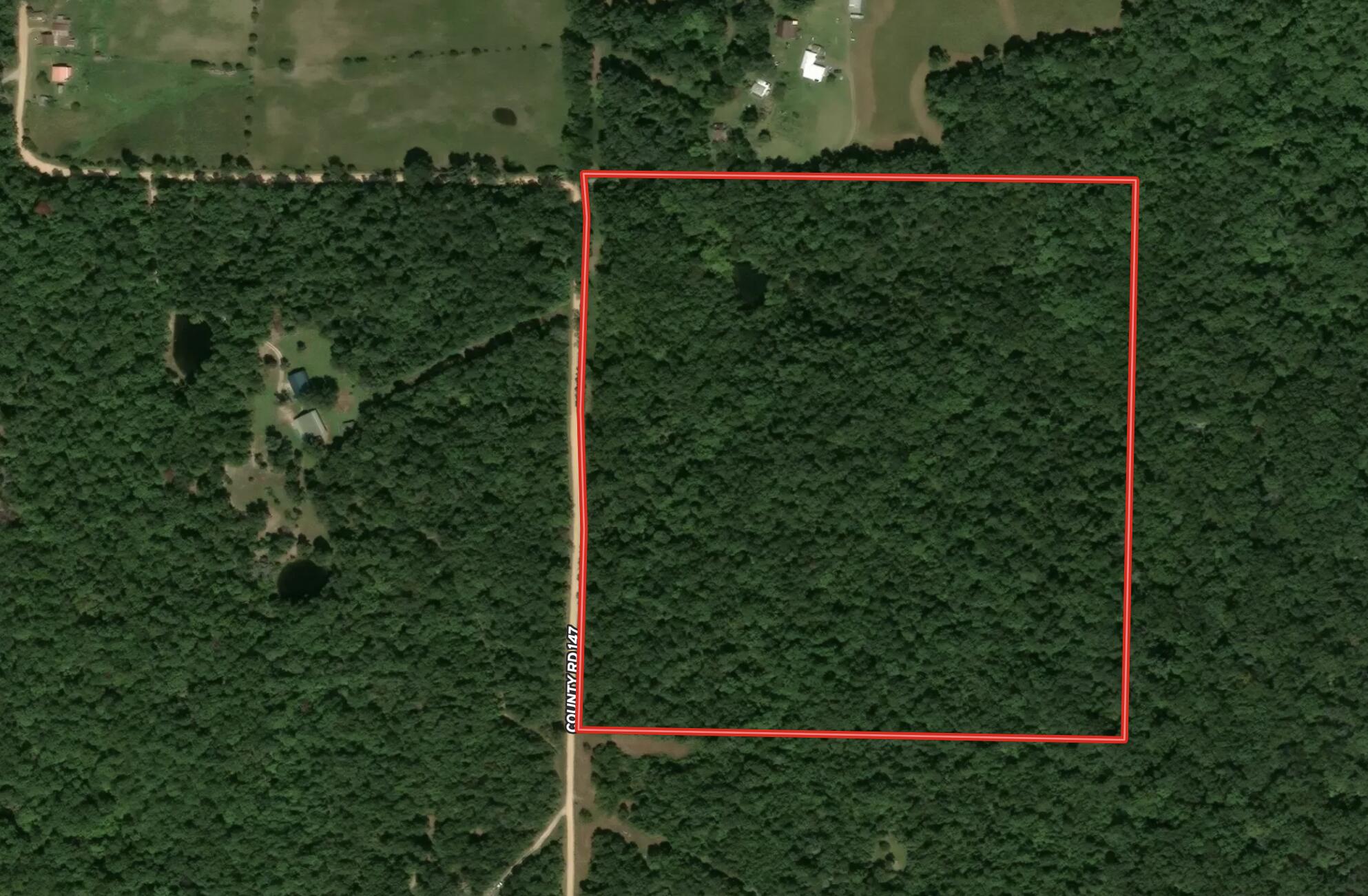 Photo 2 - Land for sale – 000  County Road F-147   Alton, MO