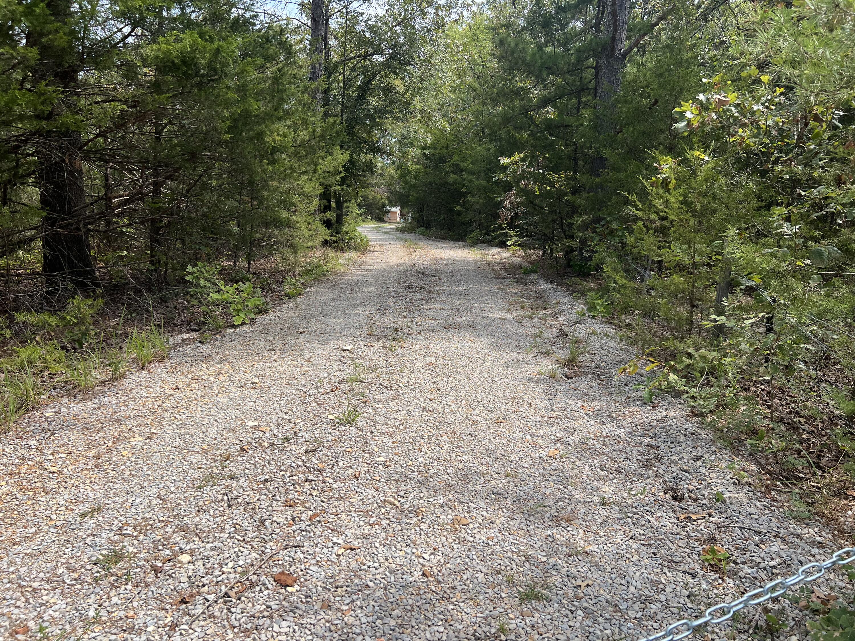 Photo 3 - Land for sale – 000  County Road F-147   Alton, MO