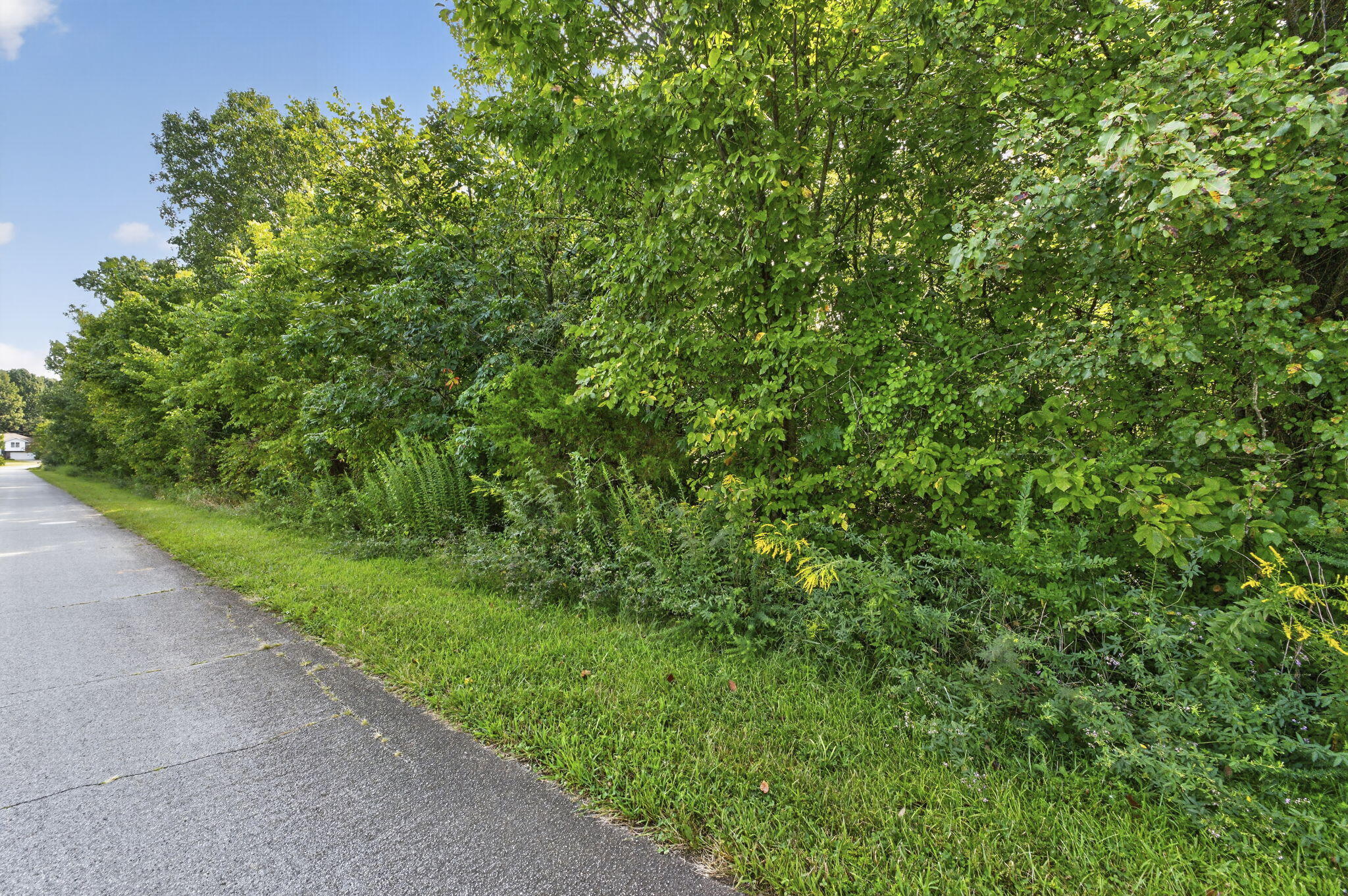 Photo 9 - Commercial Sale for sale – 4221 W Sandy Street  Battlefield, MO