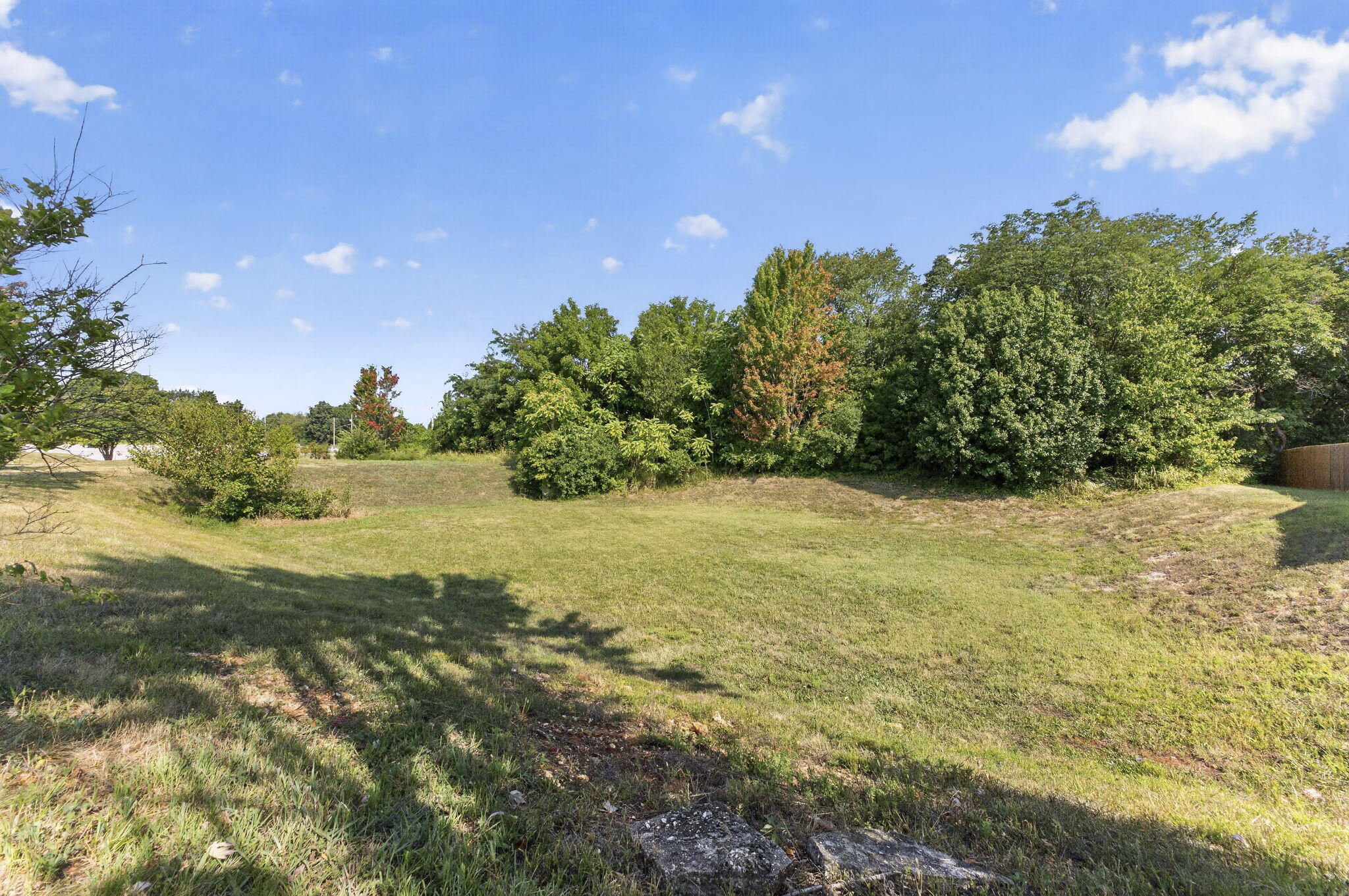 Photo 3 - Commercial Sale for sale – 4221 W Sandy Street  Battlefield, MO