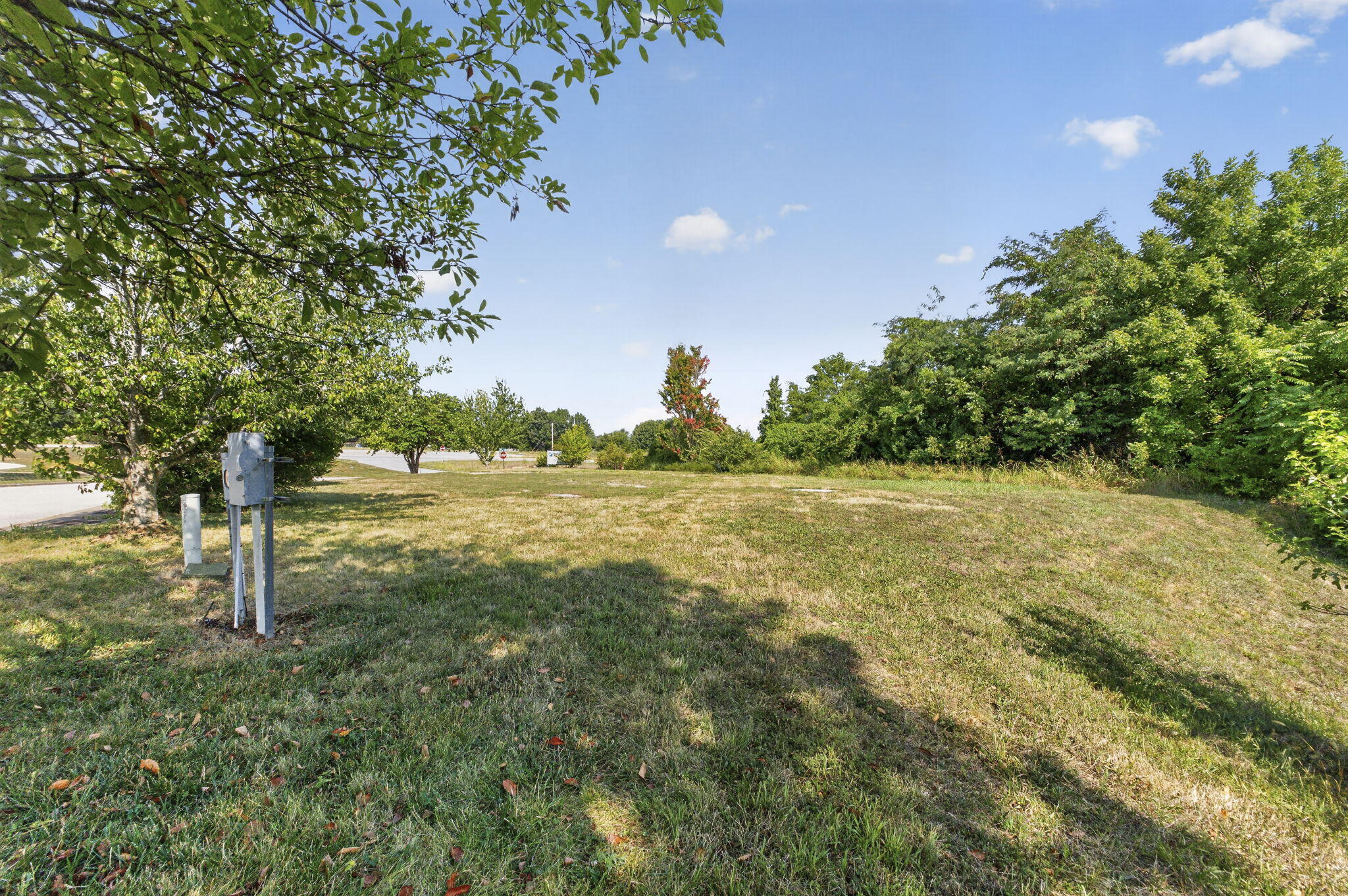 Photo 5 - Commercial Sale for sale – 4221 W Sandy Street  Battlefield, MO