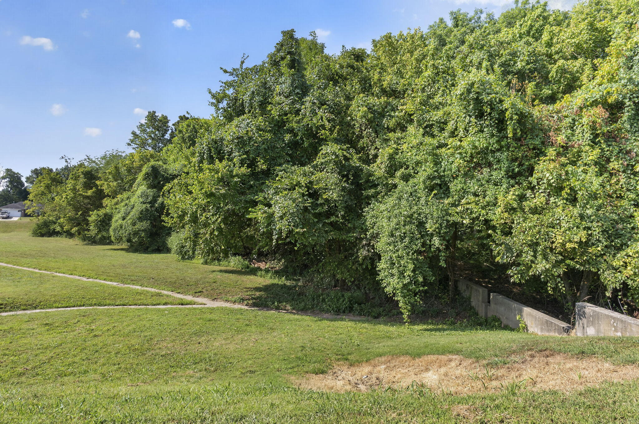 Photo 10 - Commercial Sale for sale – 4221 W Sandy Street  Battlefield, MO