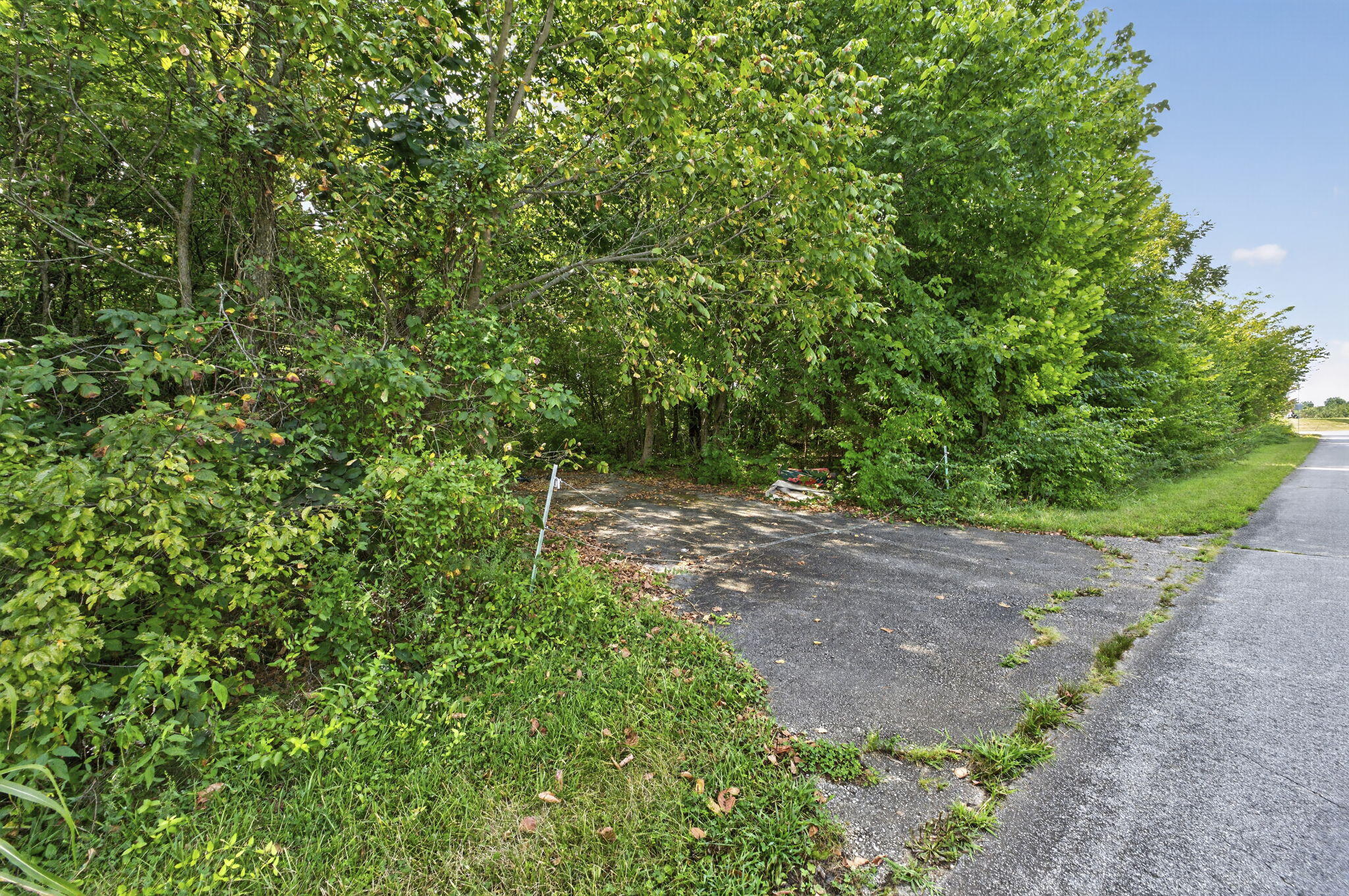 Photo 8 - Commercial Sale for sale – 4221 W Sandy Street  Battlefield, MO