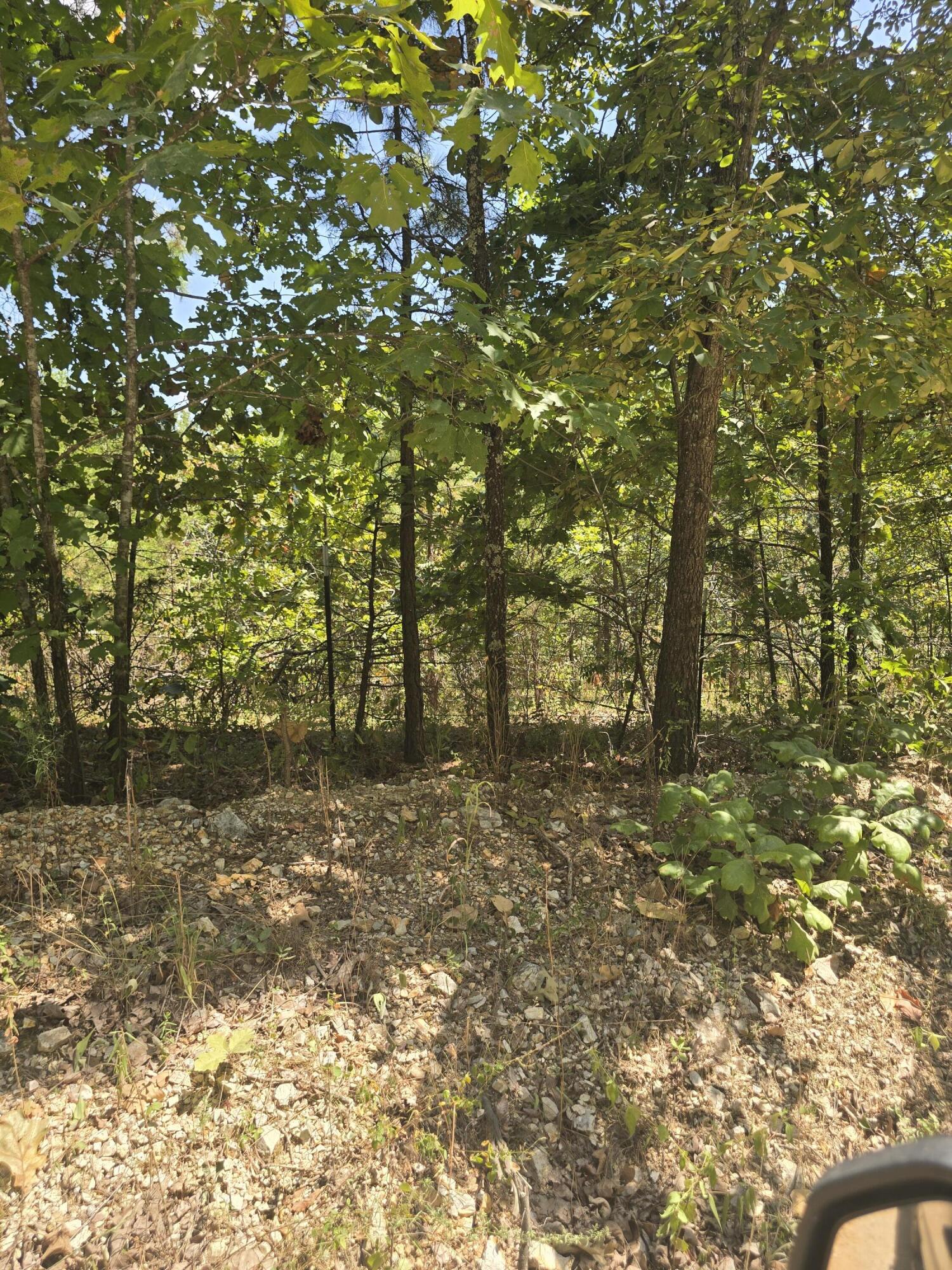 Photo 5 - Land for sale – 000  Sackett   Licking, MO