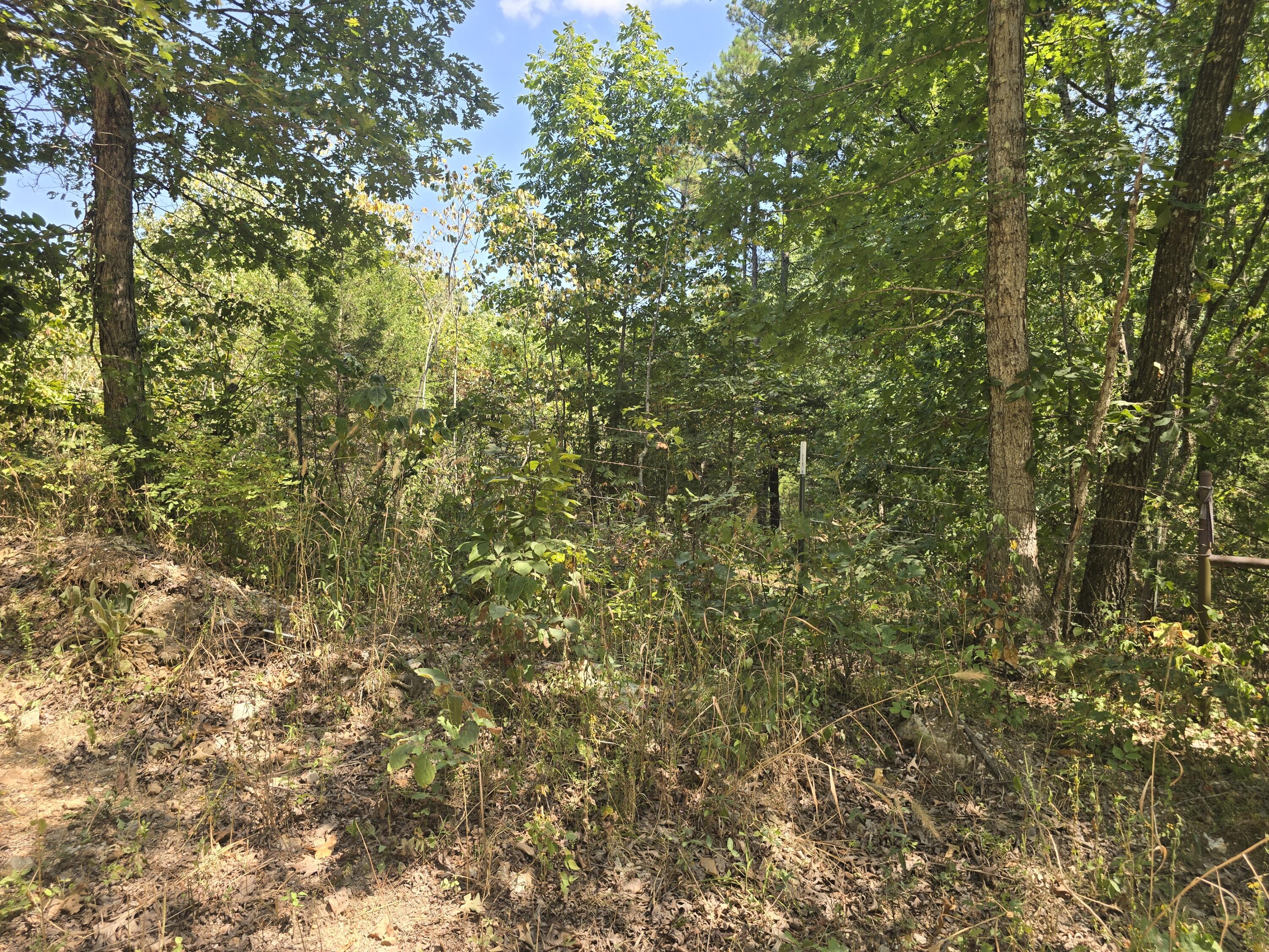 Photo 6 - Land for sale – 000  Sackett   Licking, MO