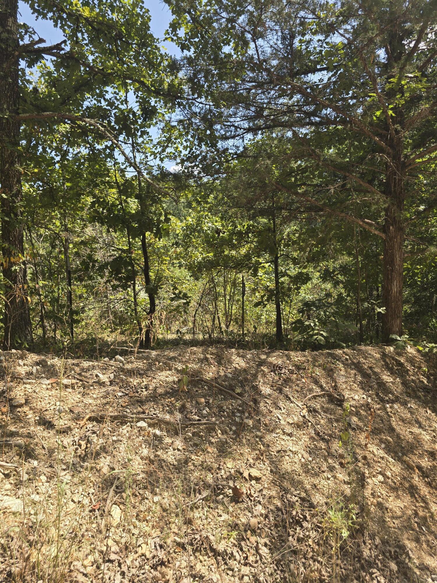 Photo 8 - Land for sale – 000  Sackett   Licking, MO