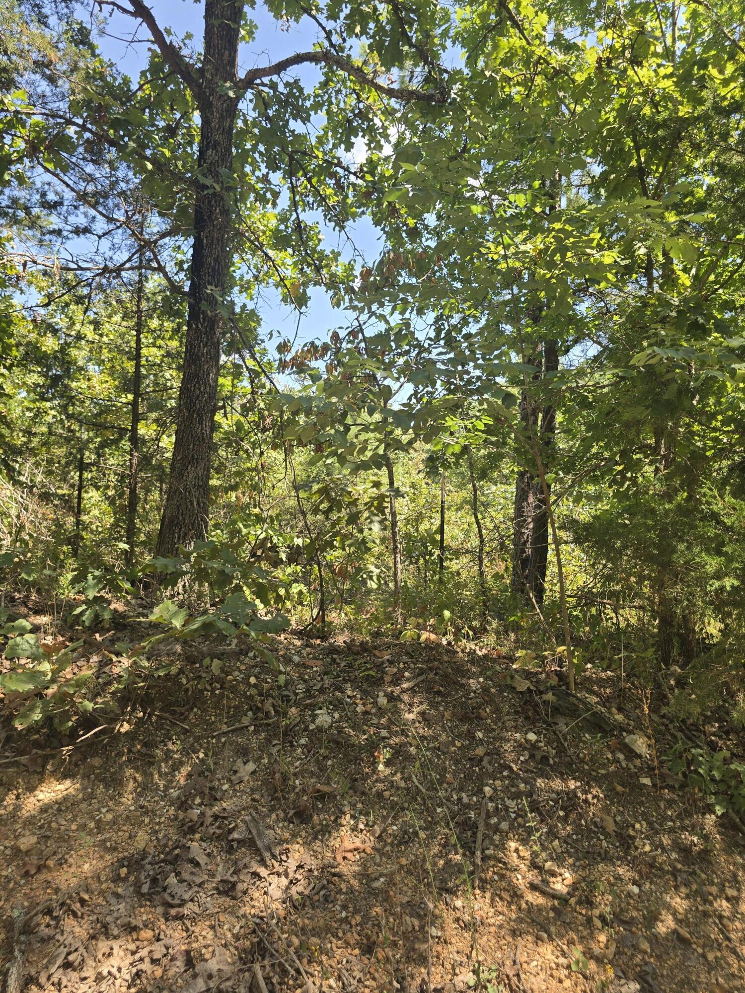 Photo 7 - Land for sale – 000  Sackett   Licking, MO