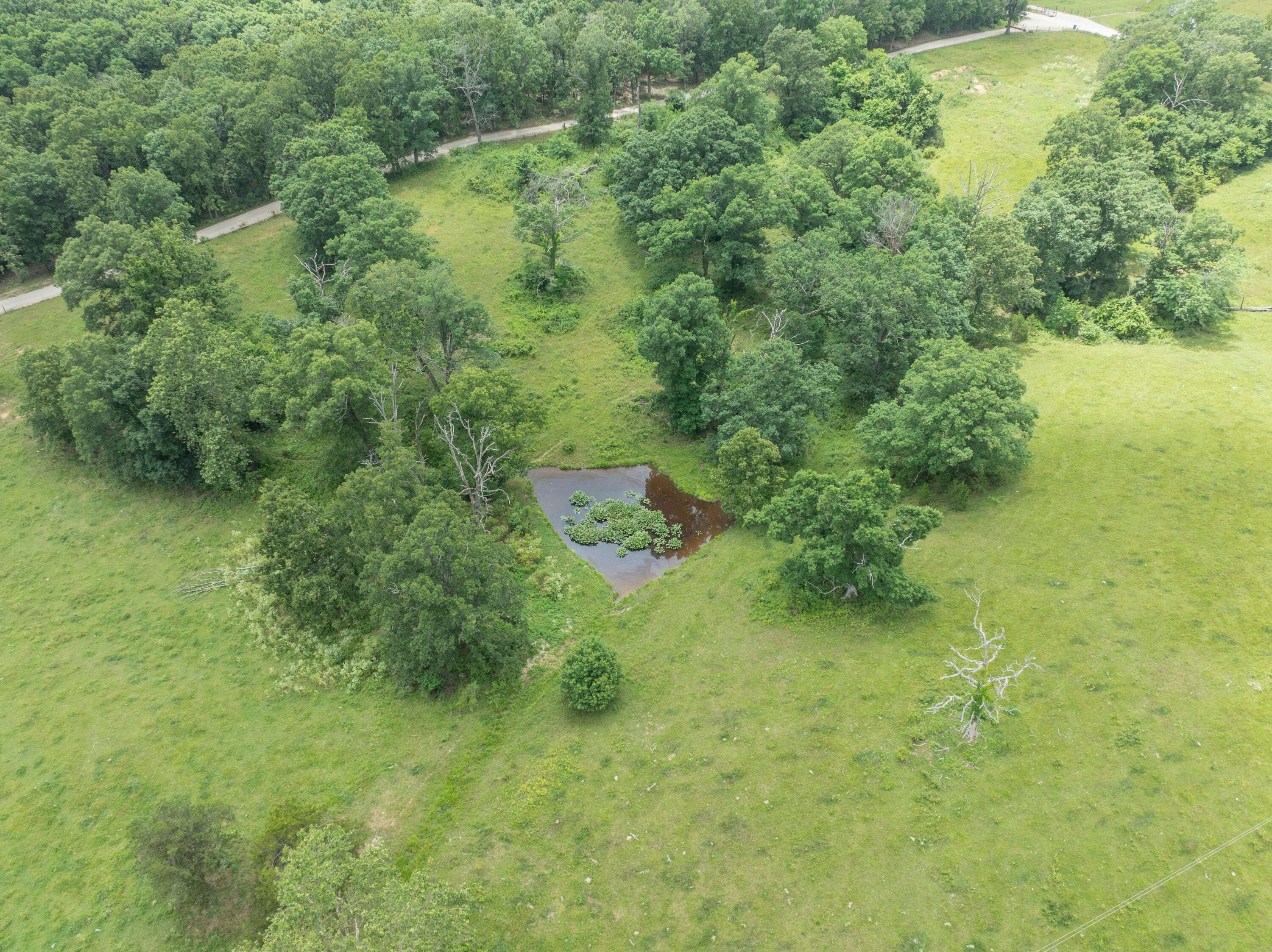 Photo 68 - Residential for sale – 10780  State Hwy Kk   Marshfield, MO