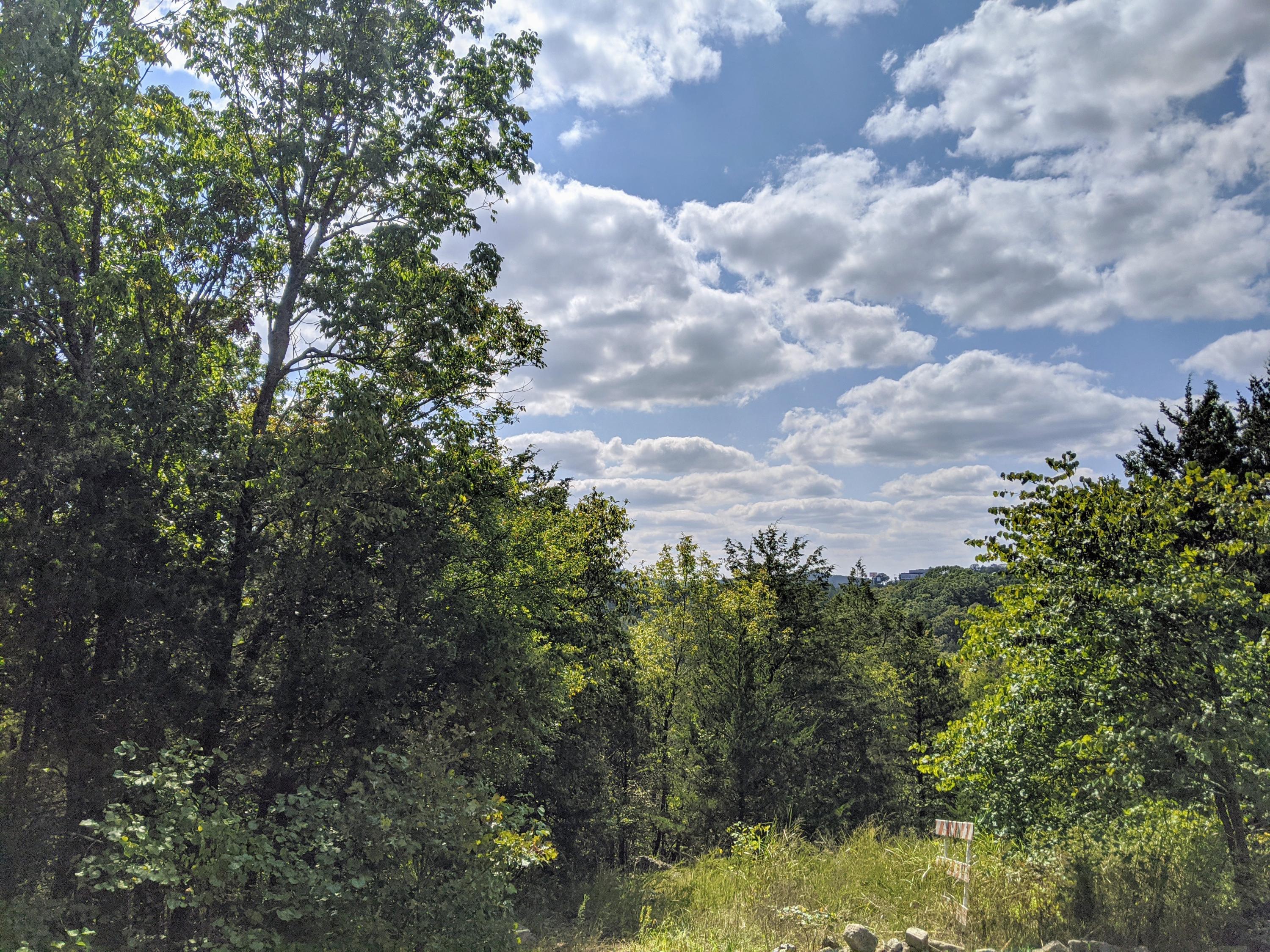 Photo 4 - Land for sale – 000  Shady   Branson, MO
