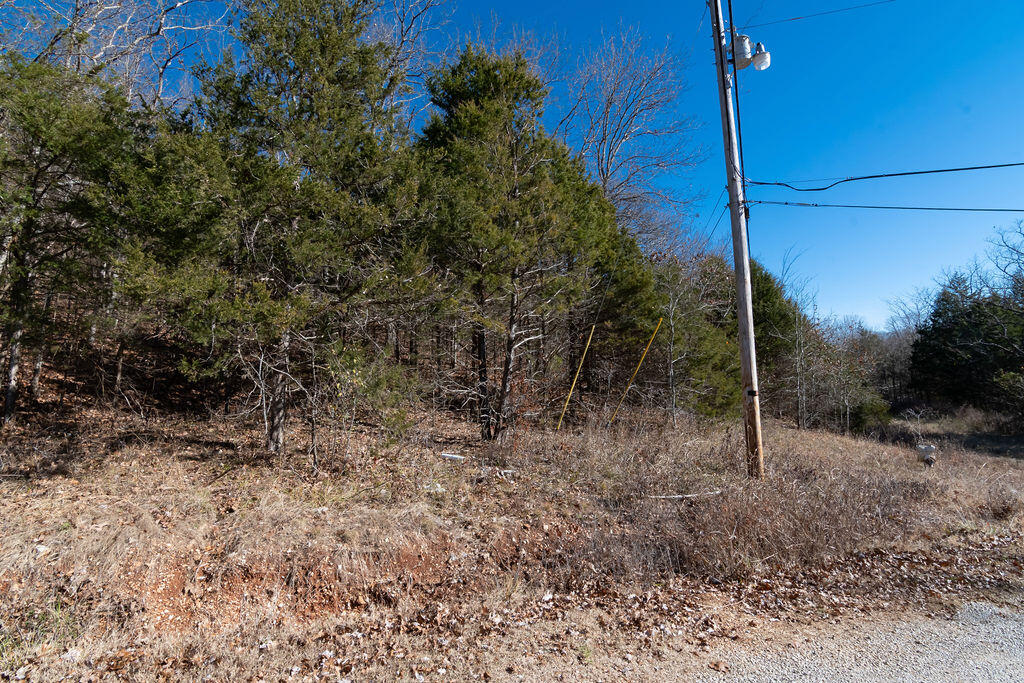 Photo 24 - Land for sale – 000  Shady   Branson, MO
