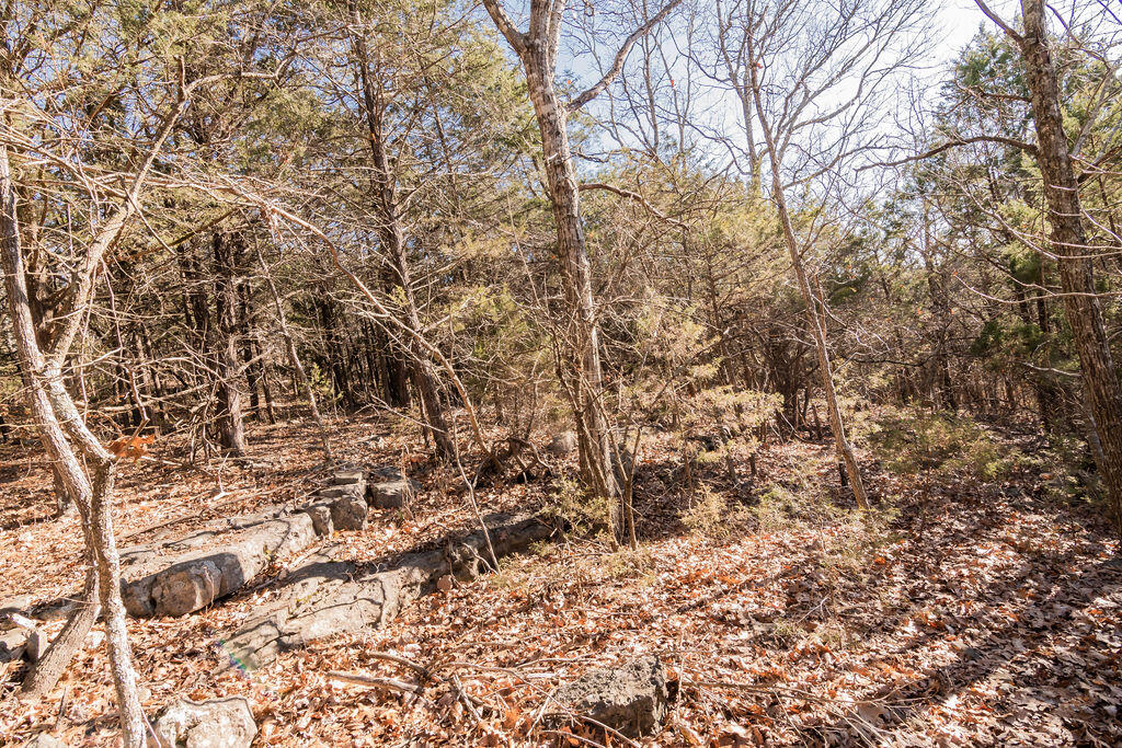 Photo 19 - Land for sale – 000  Shady   Branson, MO