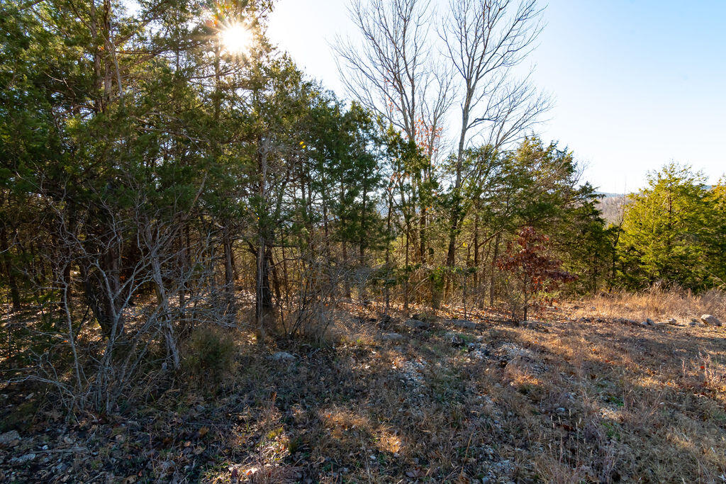 Photo 14 - Land for sale – 000  Shady   Branson, MO