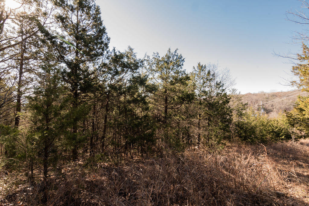 Photo 15 - Land for sale – 000  Shady   Branson, MO