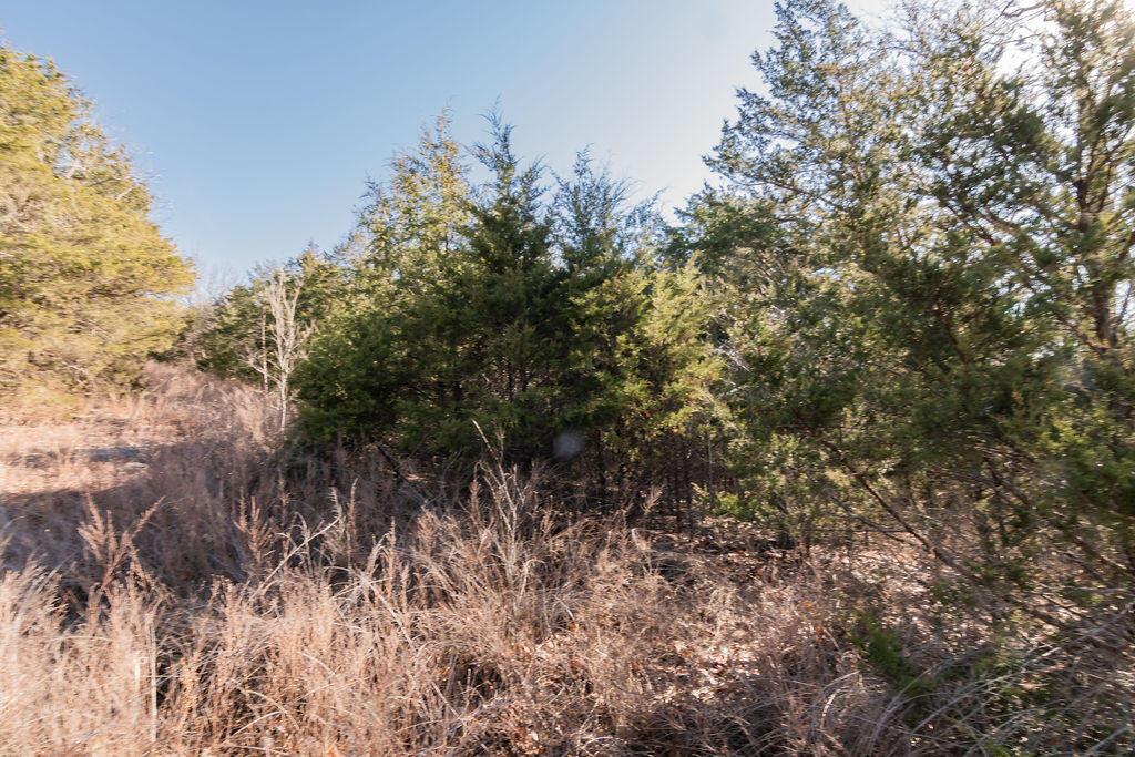 Photo 17 - Land for sale – 000  Shady   Branson, MO