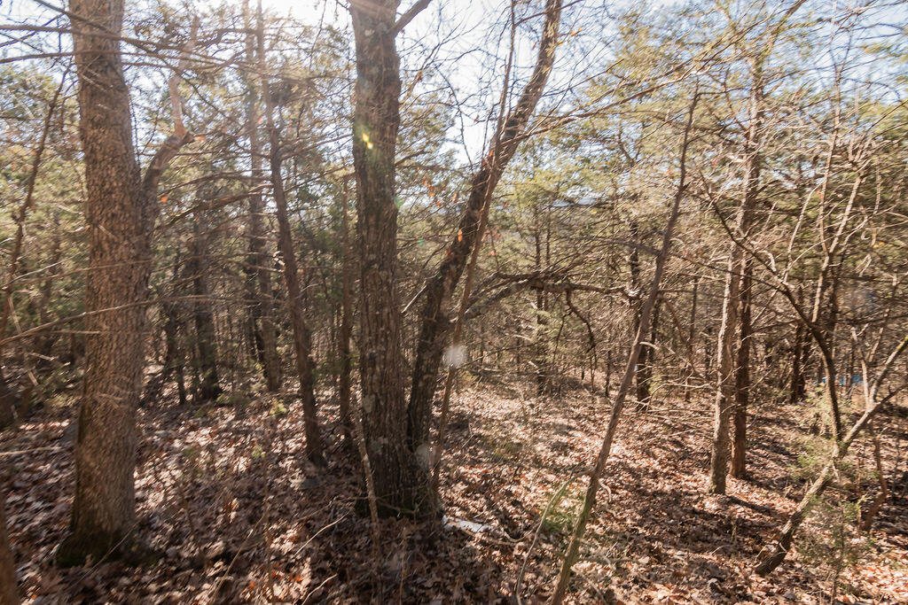 Photo 18 - Land for sale – 000  Shady   Branson, MO