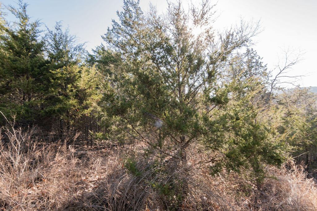 Photo 16 - Land for sale – 000  Shady   Branson, MO