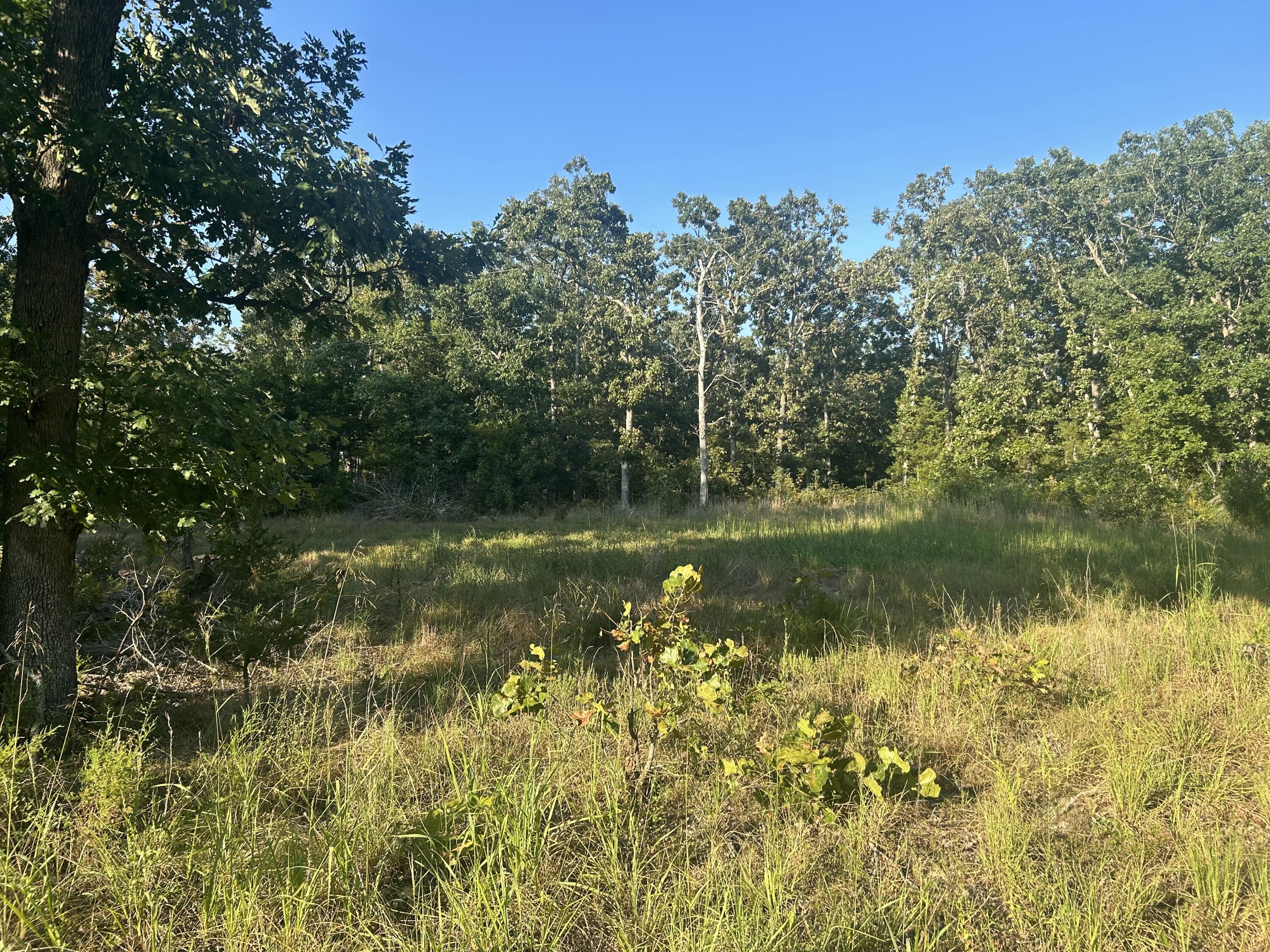 Photo 5 - Land for sale – 000  County Road 2340   Salem, MO