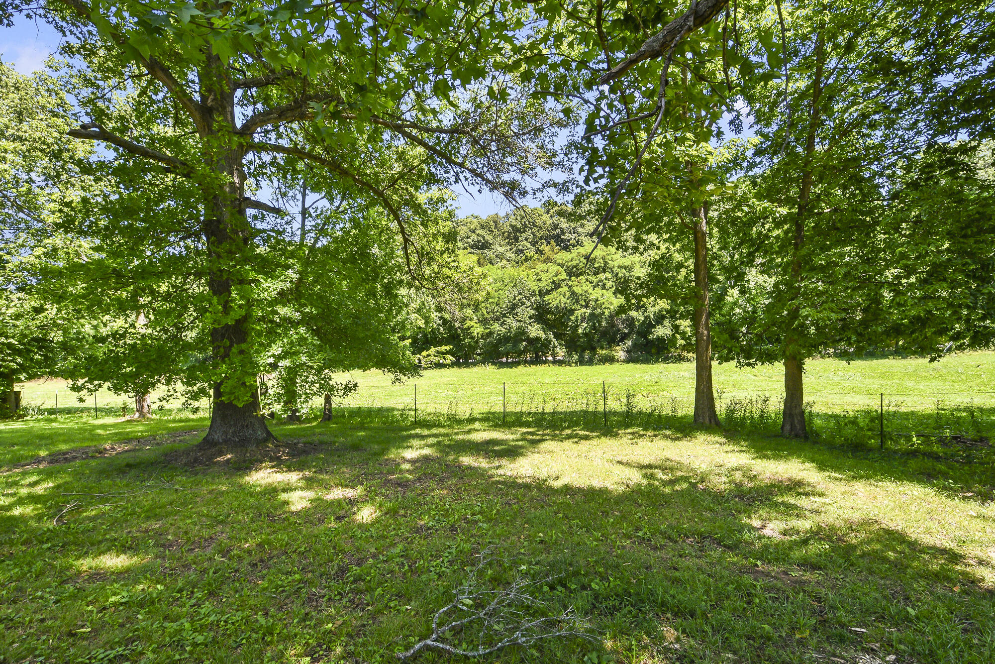 Photo 52 - Residential for sale – 533  Ghan Road  Clever, MO