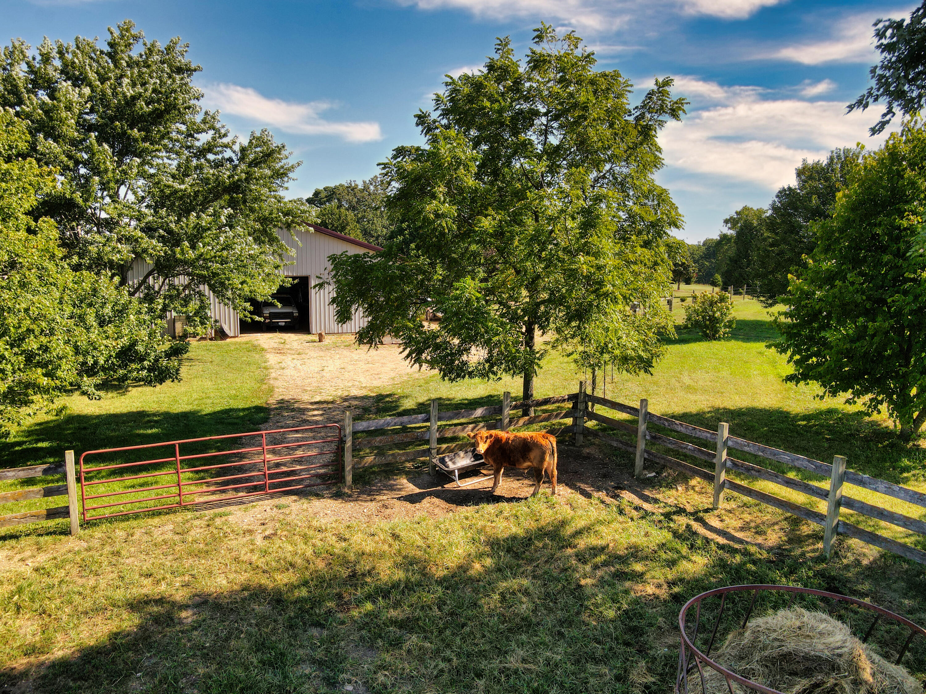 Photo 71 - Farm for sale – 190  State Highway V   Seymour, MO