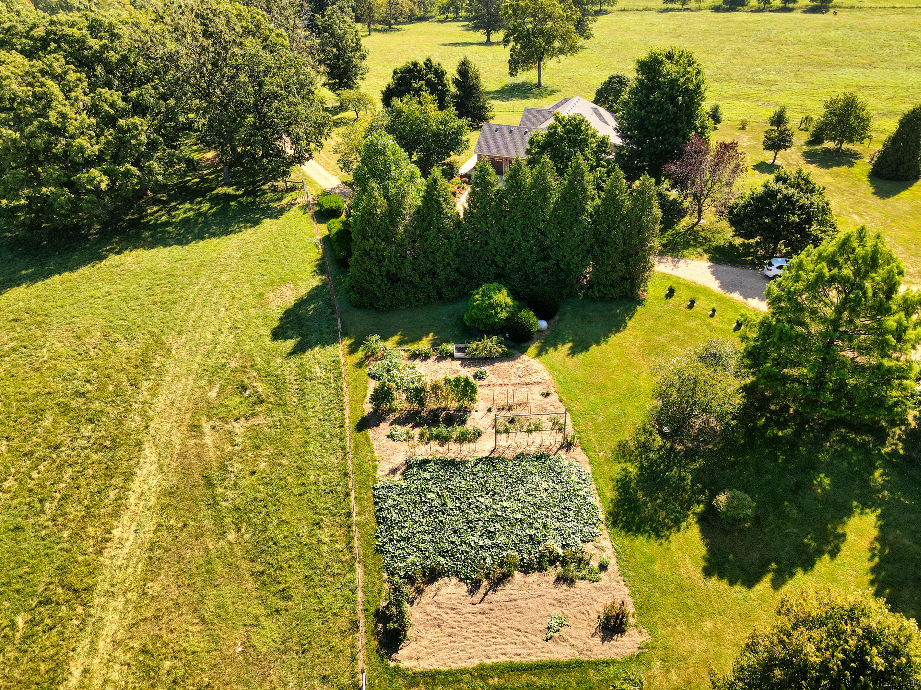 Photo 77 - Farm for sale – 190  State Highway V   Seymour, MO