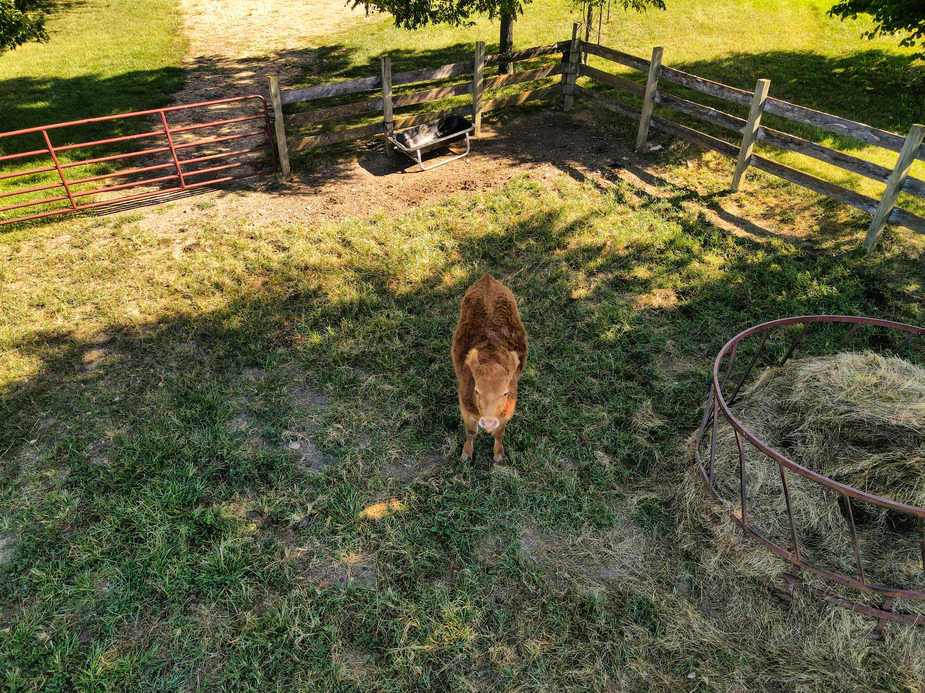 Photo 73 - Farm for sale – 190  State Highway V   Seymour, MO