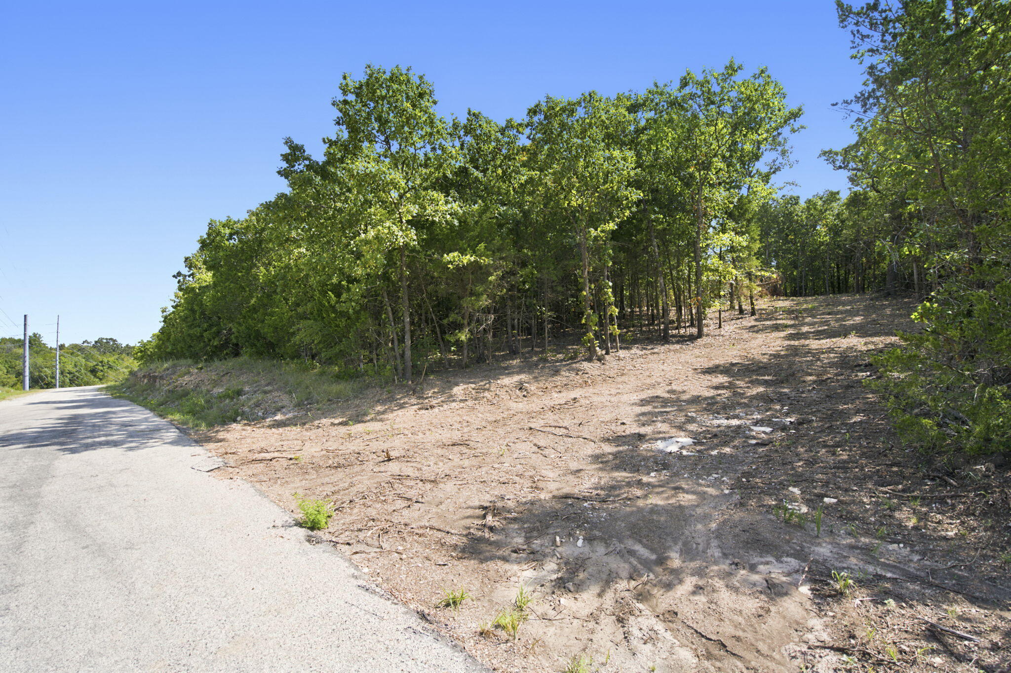 Photo 10 - Commercial Sale for sale – 000  Critter Trail  Hollister, MO