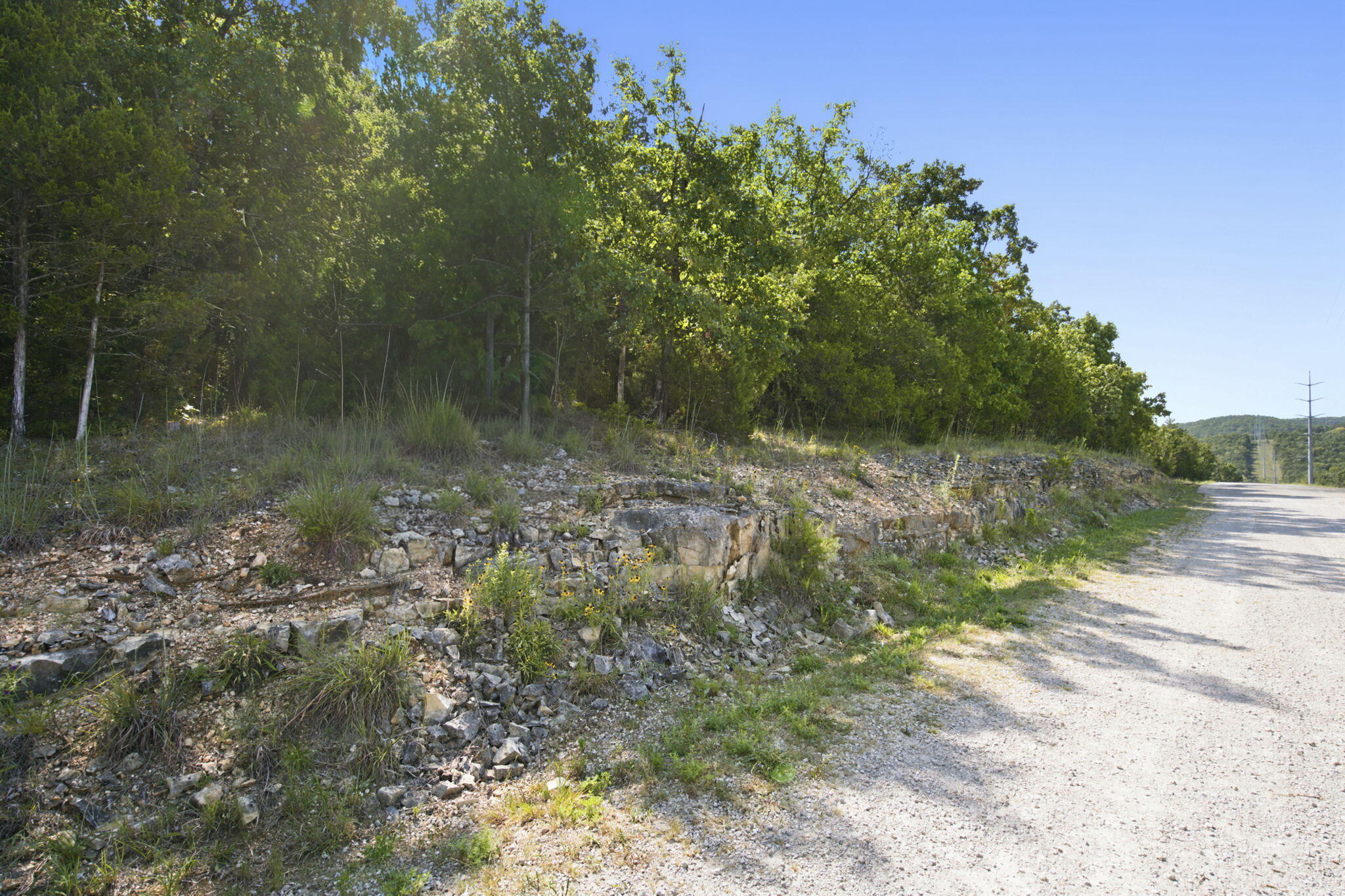Photo 11 - Commercial Sale for sale – 000  Critter Trail  Hollister, MO