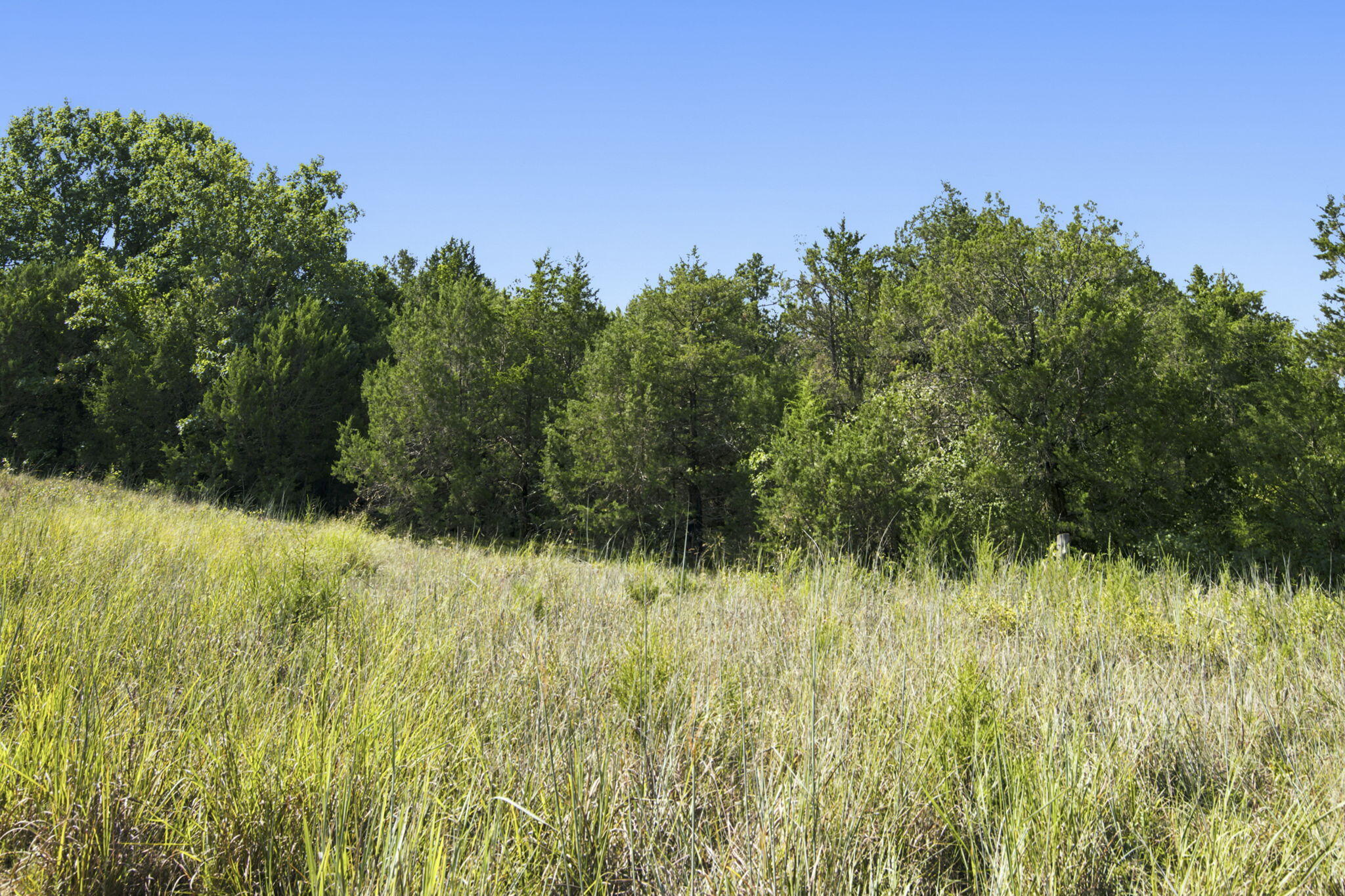 Photo 13 - Commercial Sale for sale – 000  Critter Trail  Hollister, MO