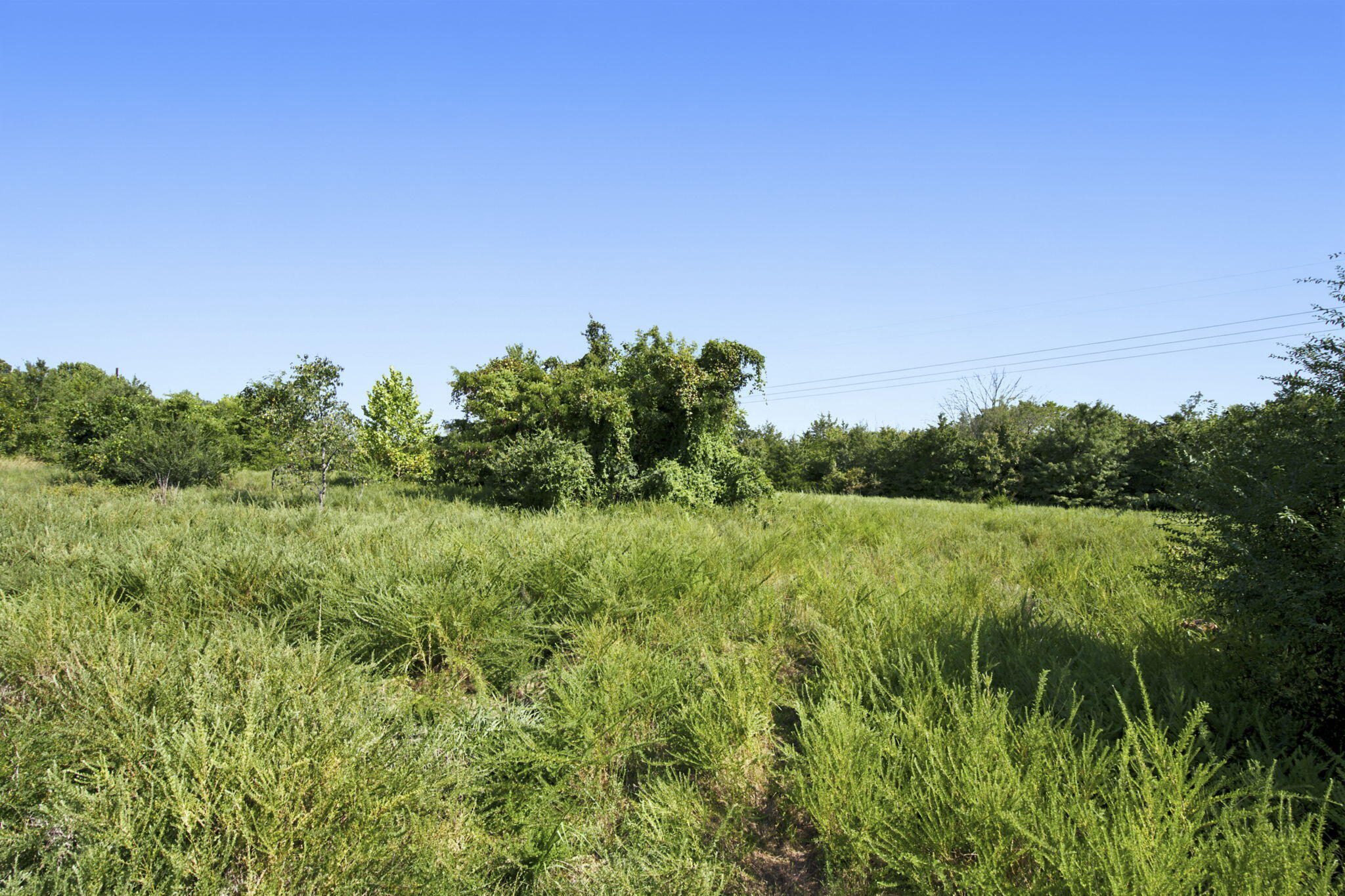 Photo 14 - Commercial Sale for sale – 000  Critter Trail  Hollister, MO