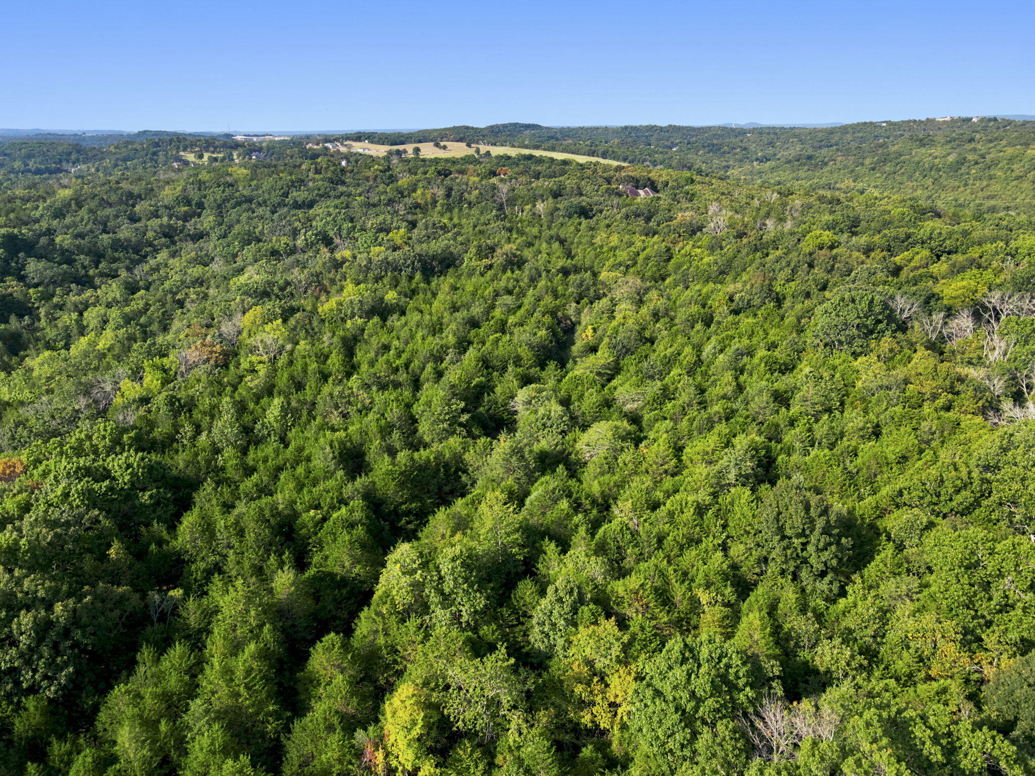 Photo 12 - Commercial Sale for sale – 000  Peaceful Drive  Branson, MO