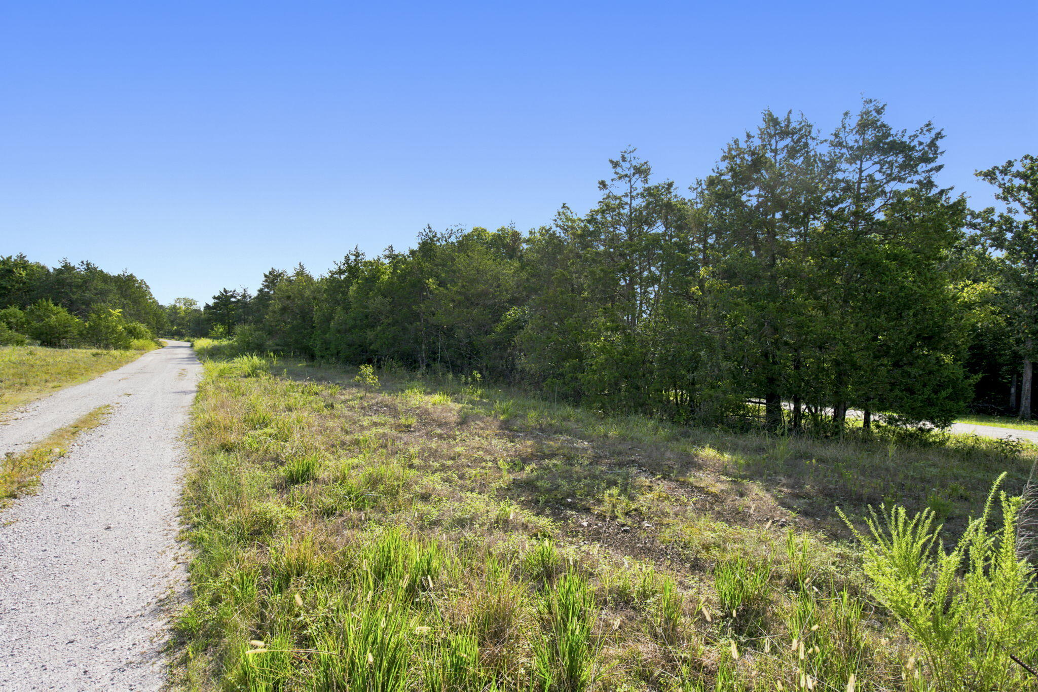 Photo 8 - Commercial Sale for sale – 000  Peaceful Drive  Branson, MO