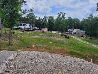 Photo 34 - Residential for sale – 3425  Pine Top Road  Kirbyville, MO