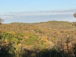 Photo 41 - Residential for sale – 3425  Pine Top Road  Kirbyville, MO