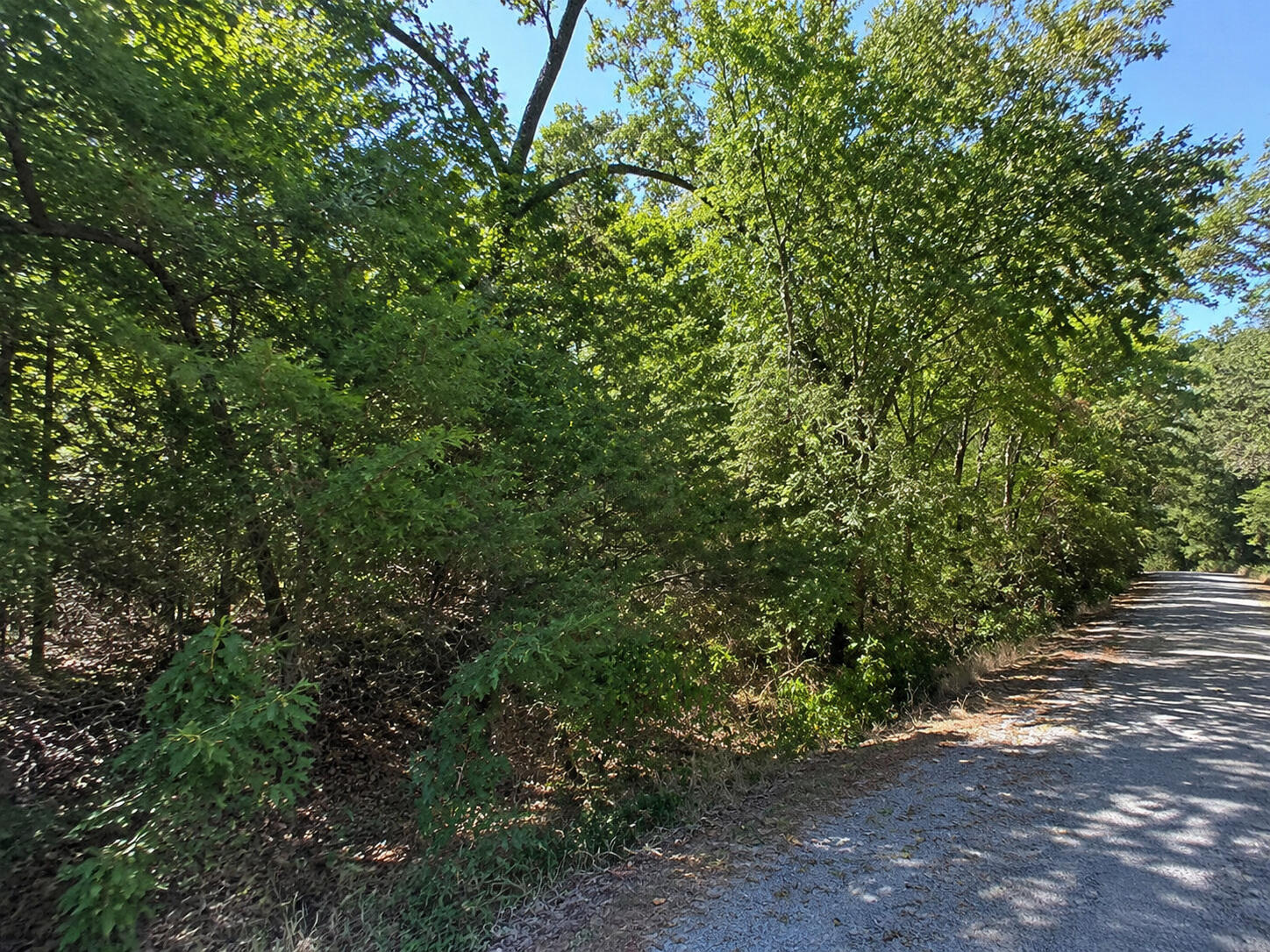 Land for sale – 000  Lots 56-57 Song Bird   Golden, MO