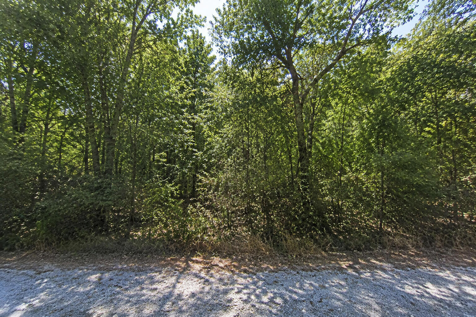 Photo 3 - Land for sale – 000  Lots 56-57 Song Bird   Golden, MO