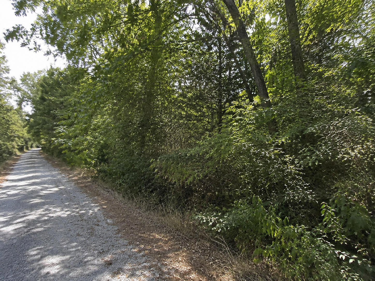 Photo 2 - Land for sale – 000  Lots 56-57 Song Bird   Golden, MO