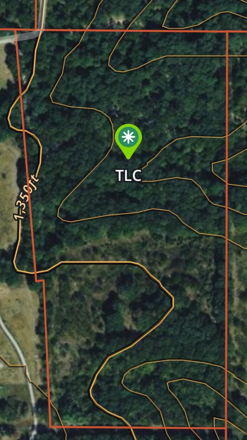 Photo 2 - Land for sale – 10792  N Highway  Mt Vernon, MO