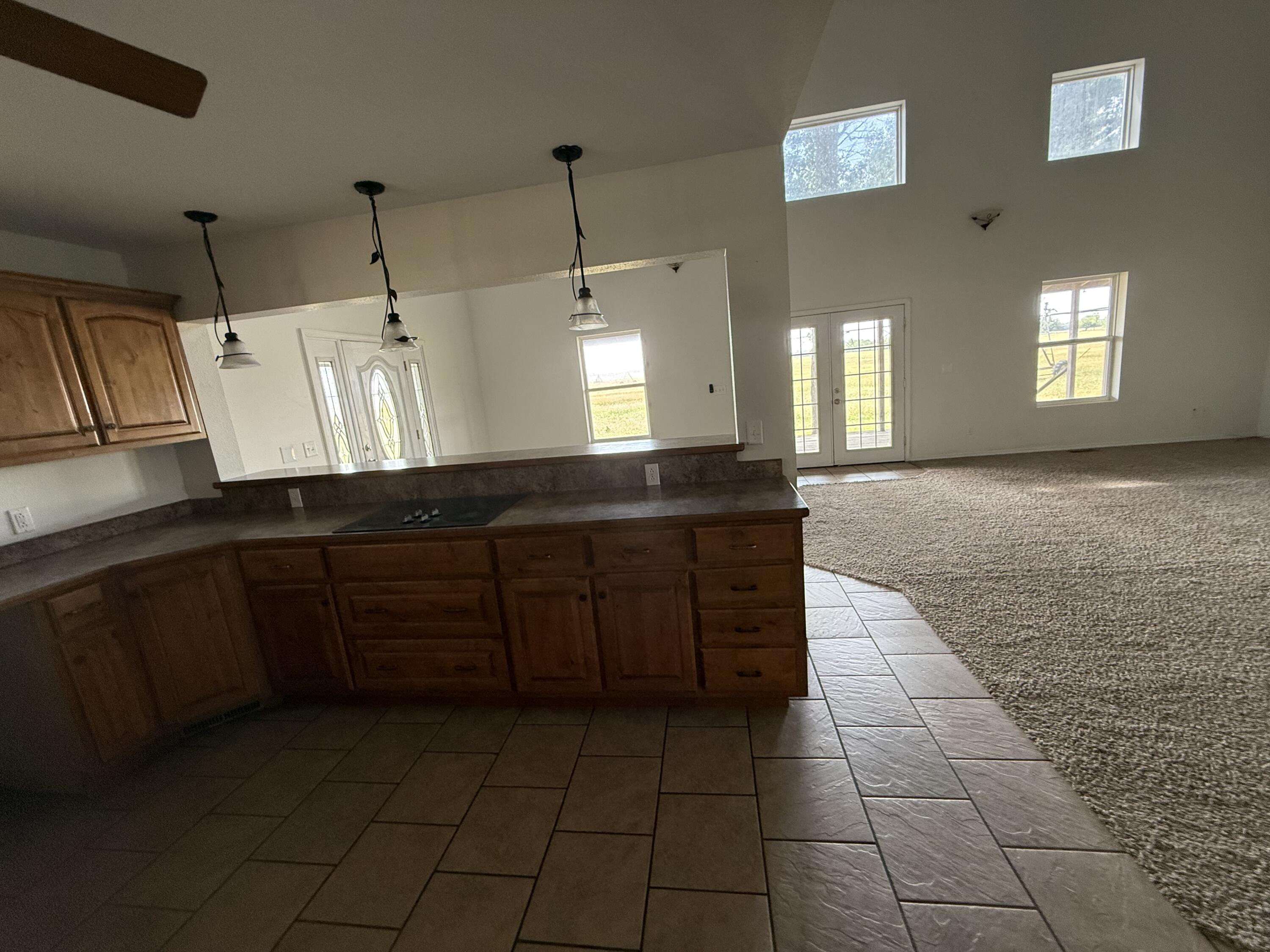 Photo 7 - Residential for sale – 22629 E Highway 86   Granby, MO
